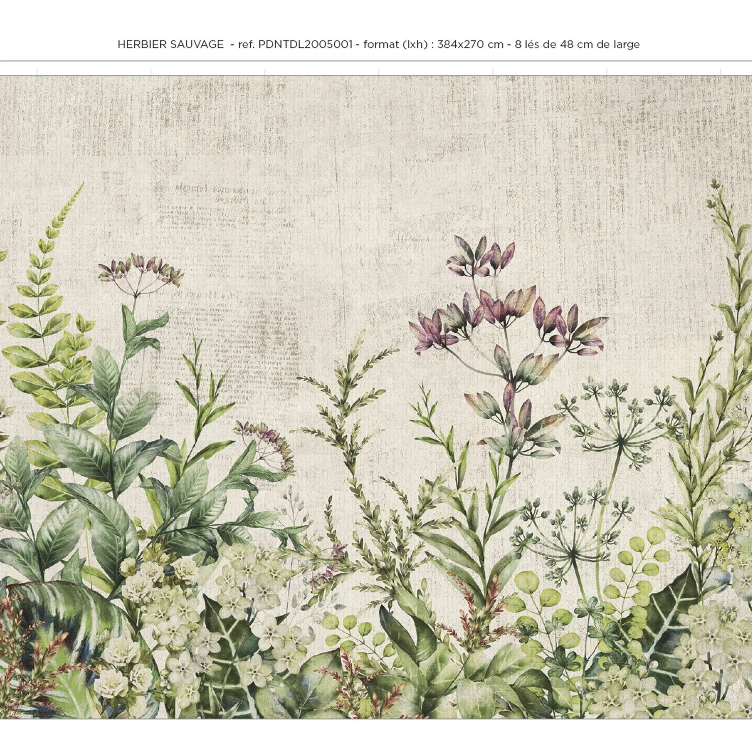 Papier Peint Panoramique Herbier Sauvage - Multicolore - Image 7