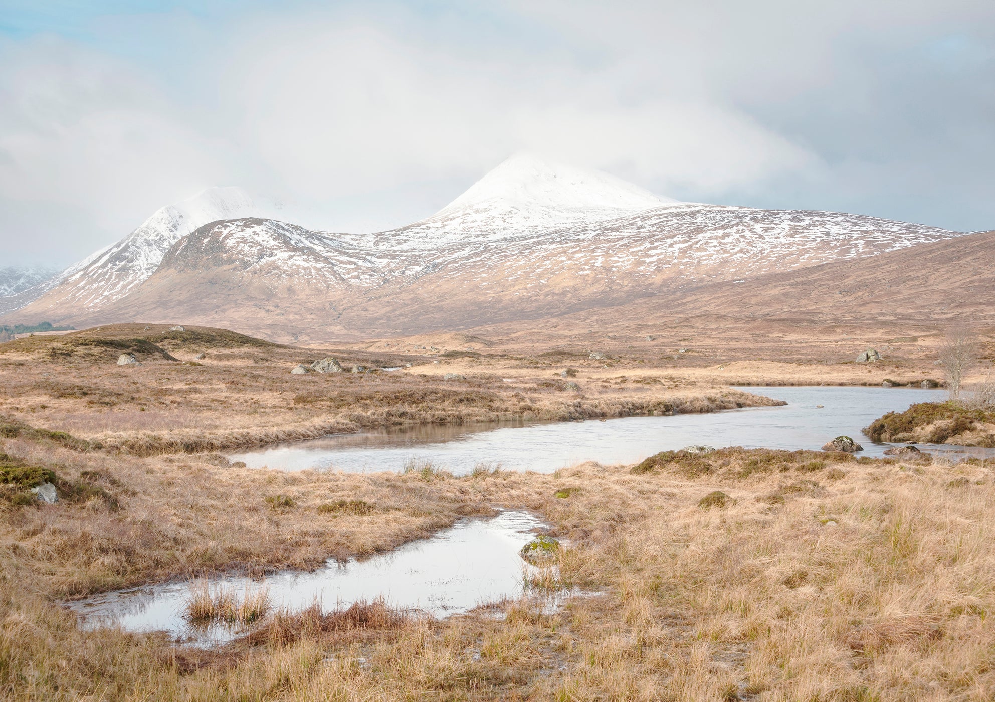 Papier Peint Panoramique Highlands - Multicolore - Image 3