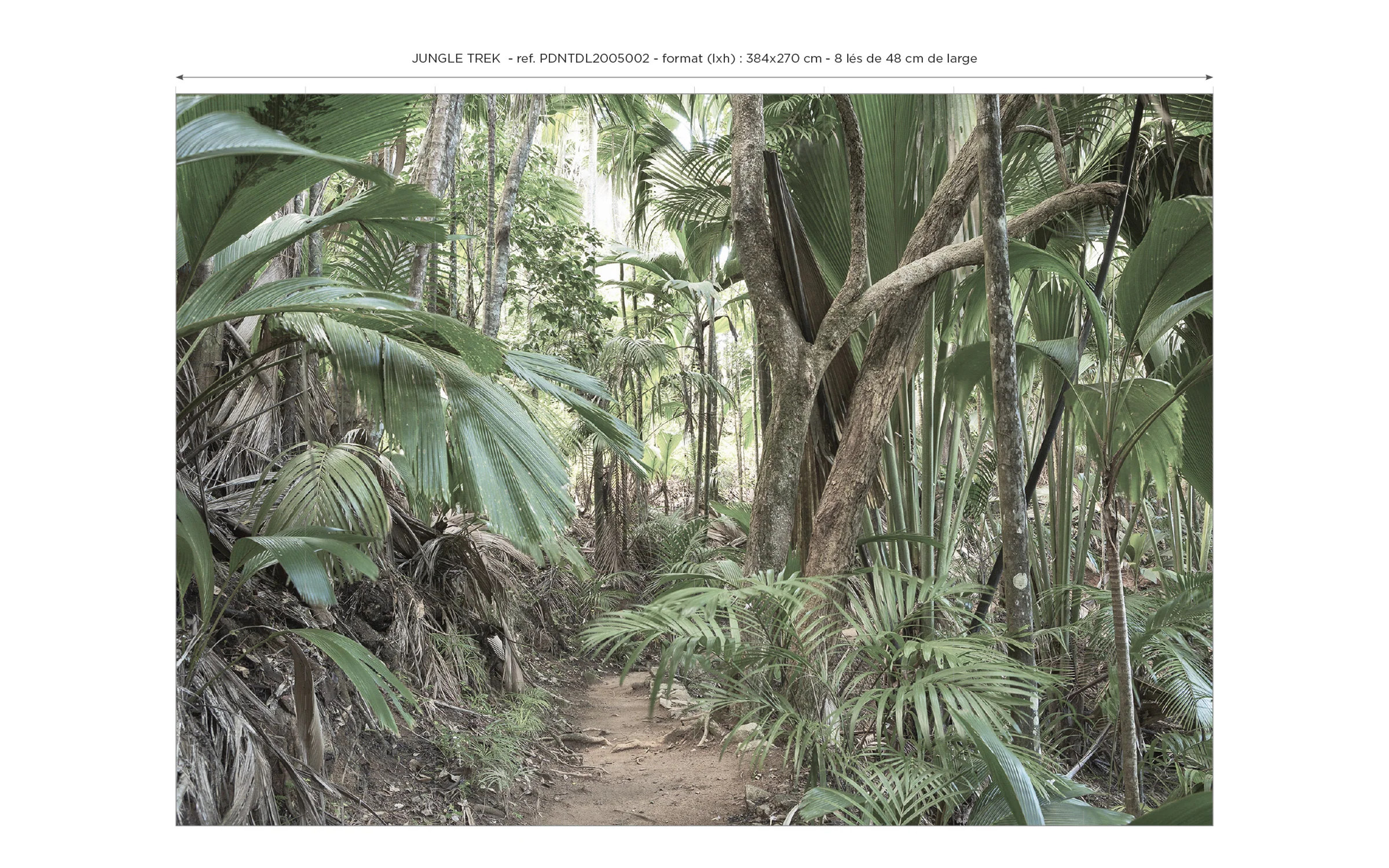 Papier Peint Panoramique Jungle Trek - Vert - Image 6