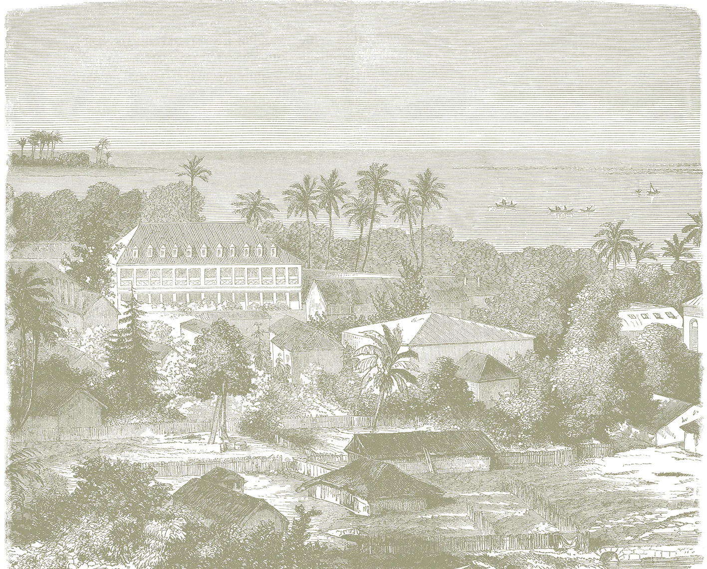 Papier Peint Panoramique Maimiti - Sauge - Image 4