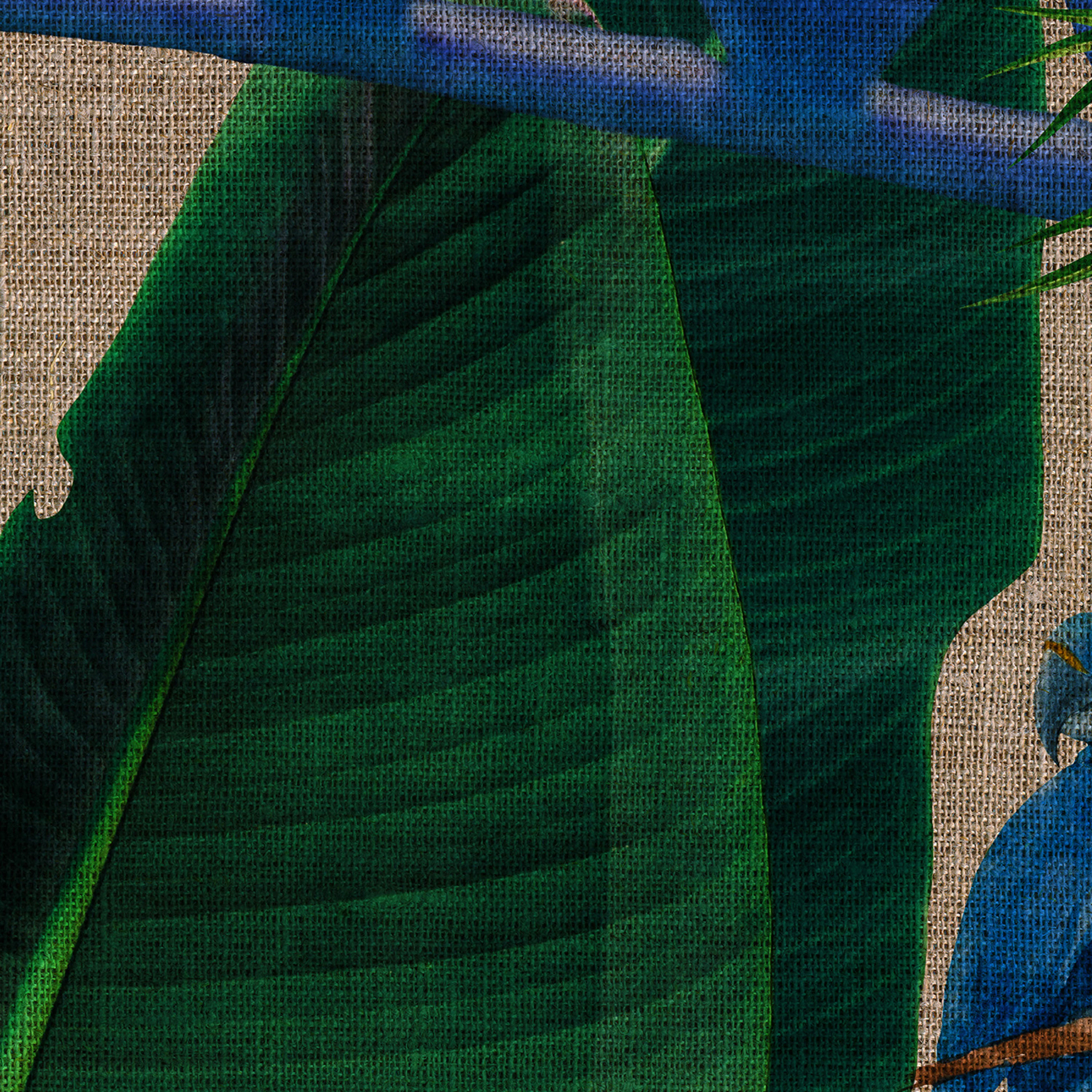 Papier Peint Panoramique Kolibri - Multicolore - Image 6