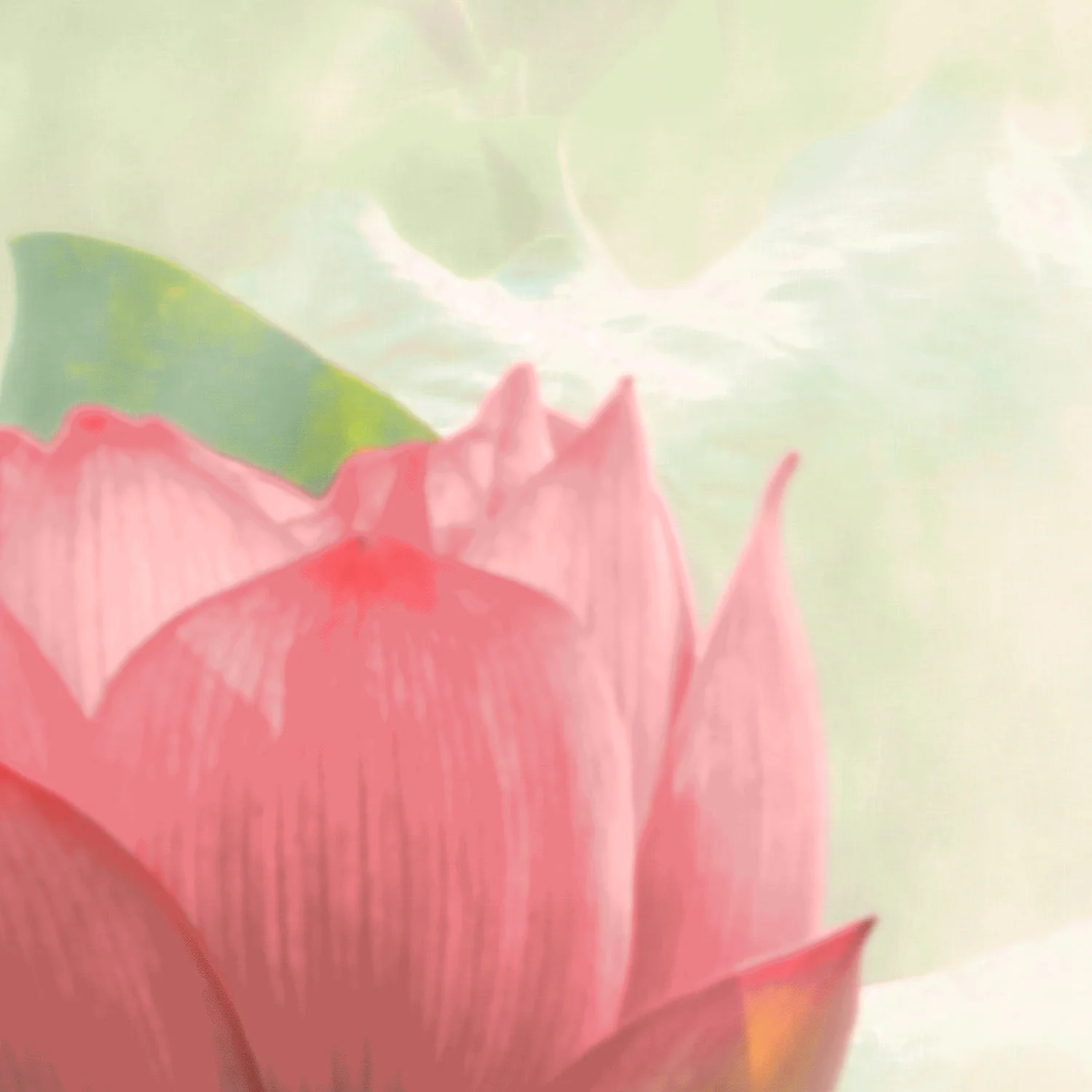 Papier Peint Panoramique Lilies - Multicolore - Image 5