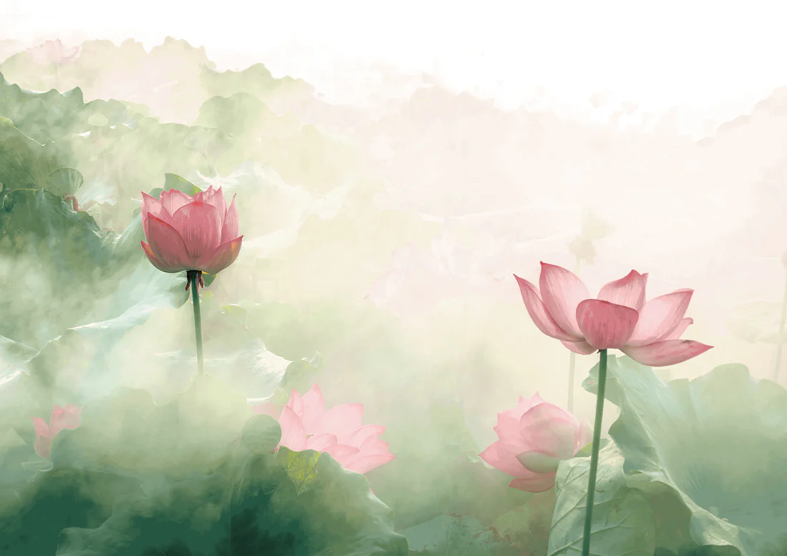 Papier Peint Panoramique Lilies - Multicolore - Image 6