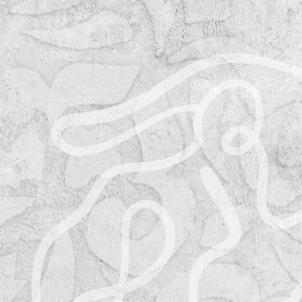 Papier Peint Panoramique Mahsa Gris - Gris - Image 5