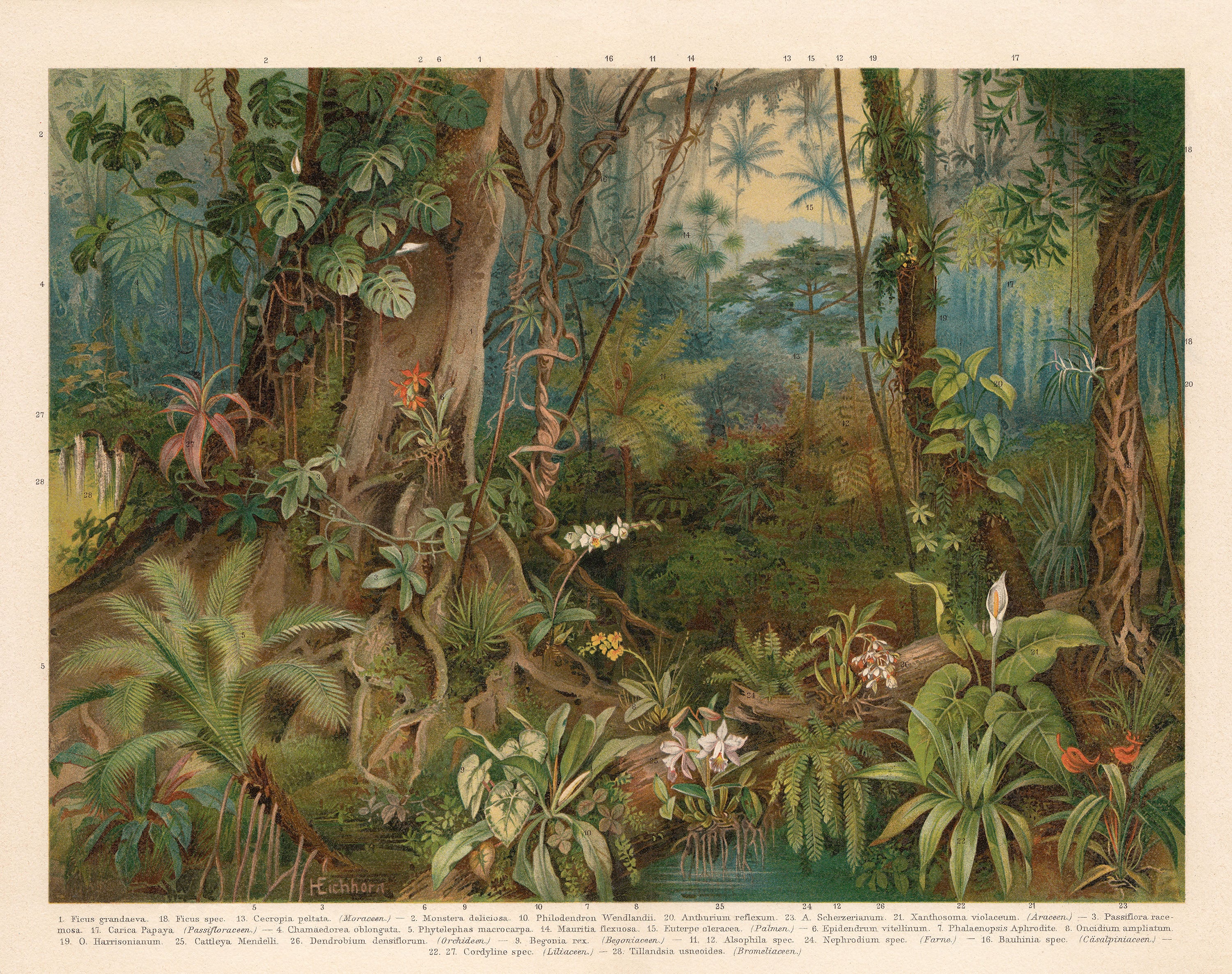 Papier Peint Panoramique Mauritia - Multicolore - Image 6