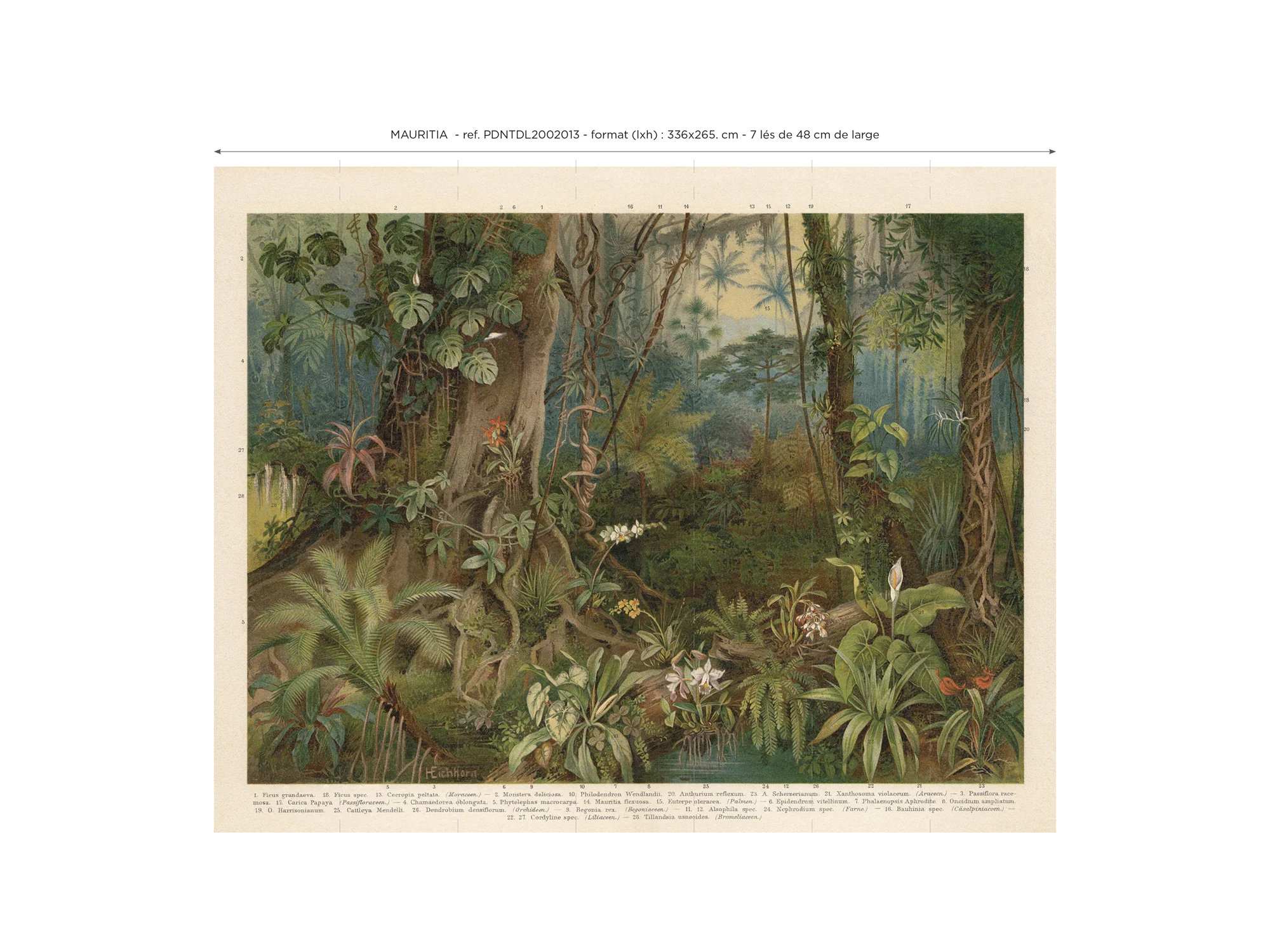 Papier Peint Panoramique Mauritia - Multicolore - Image 7