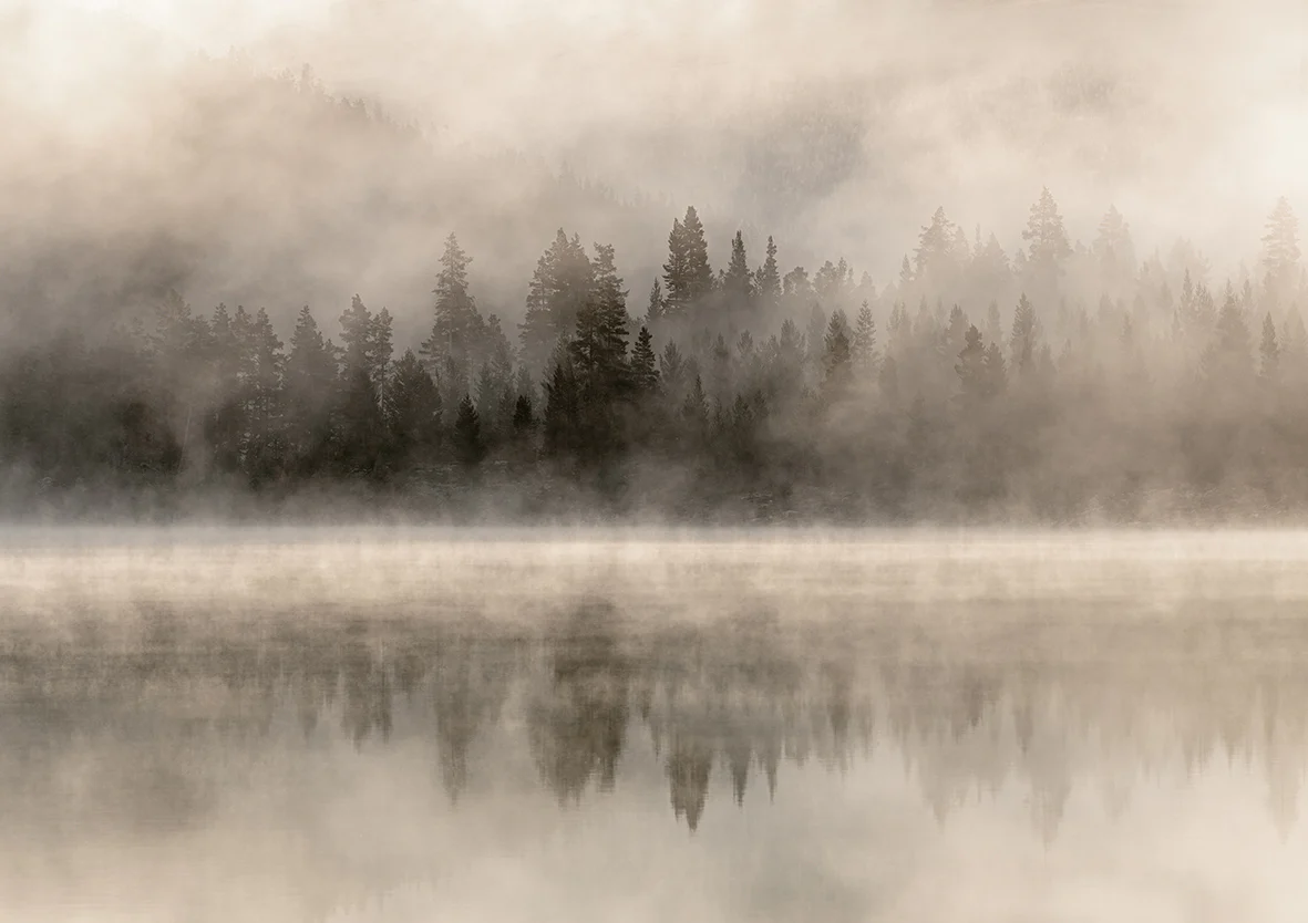 Papier Peint Panoramique Mistery Lake - Beige - Image 8