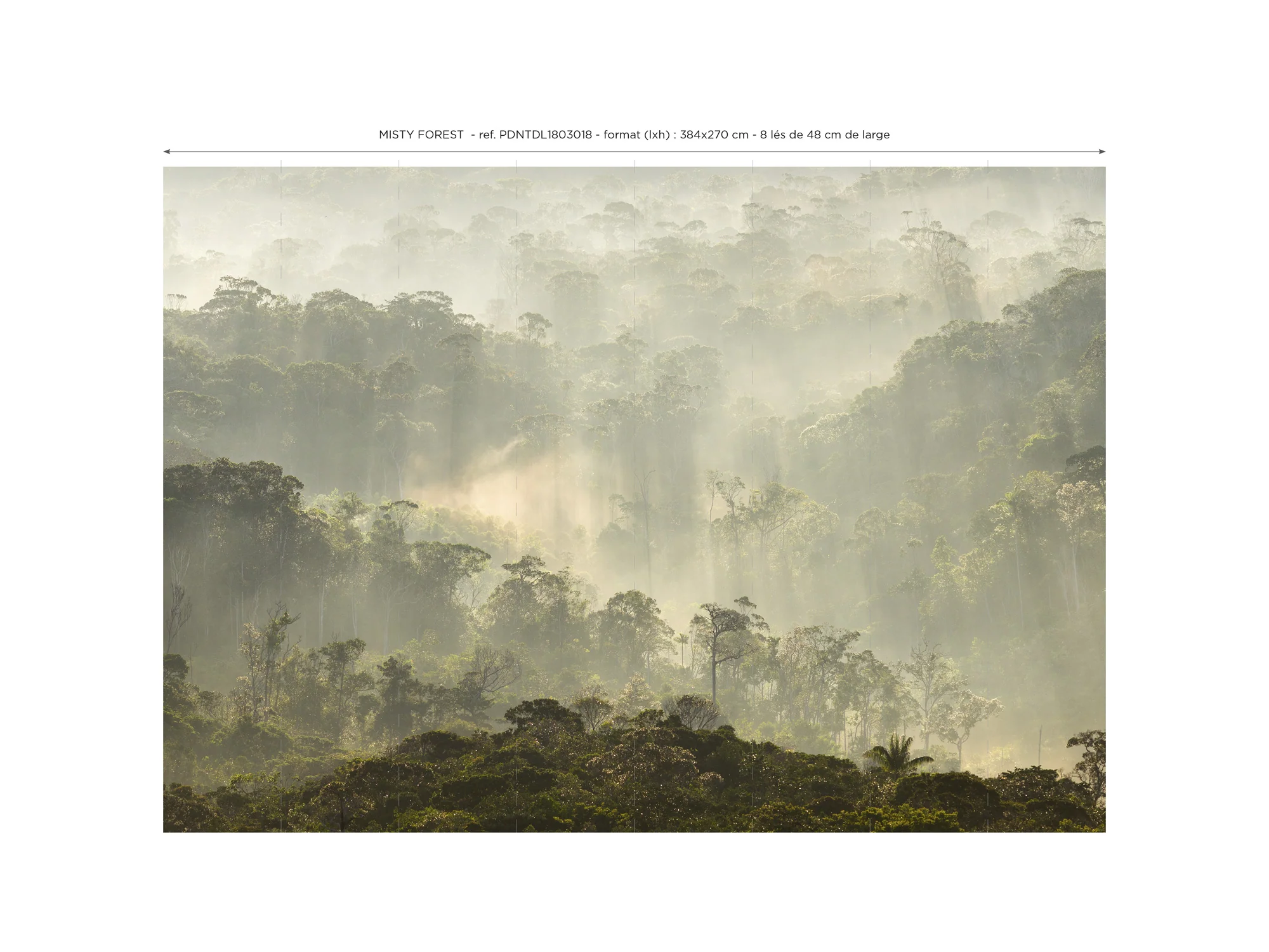 Papier Peint Panoramique Misty Forest - Multicolore - Image 5