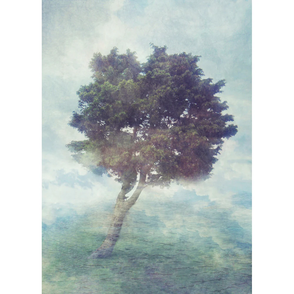 Papier Peint Panoramique Misty Tree - Multicolore - Image 2