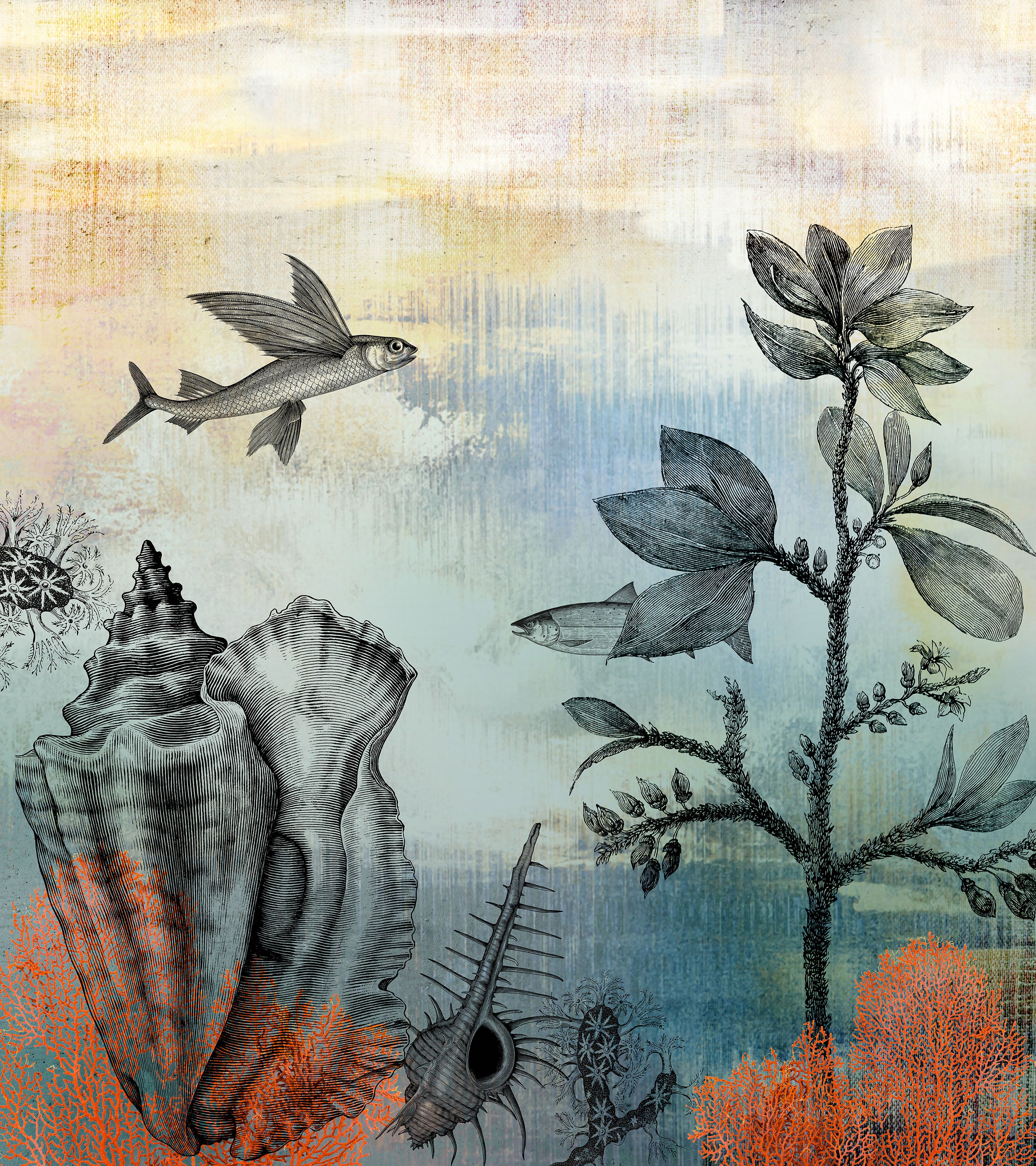 Papier Peint Panoramique Nautilus - Multicolore - Image 7