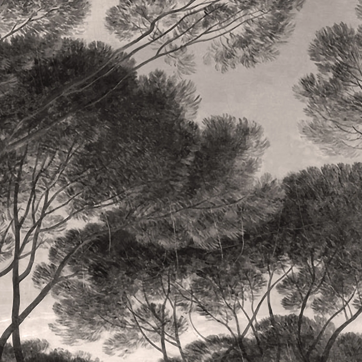 Papier Peint Panoramique Ombrelli - Sépia - Image 6