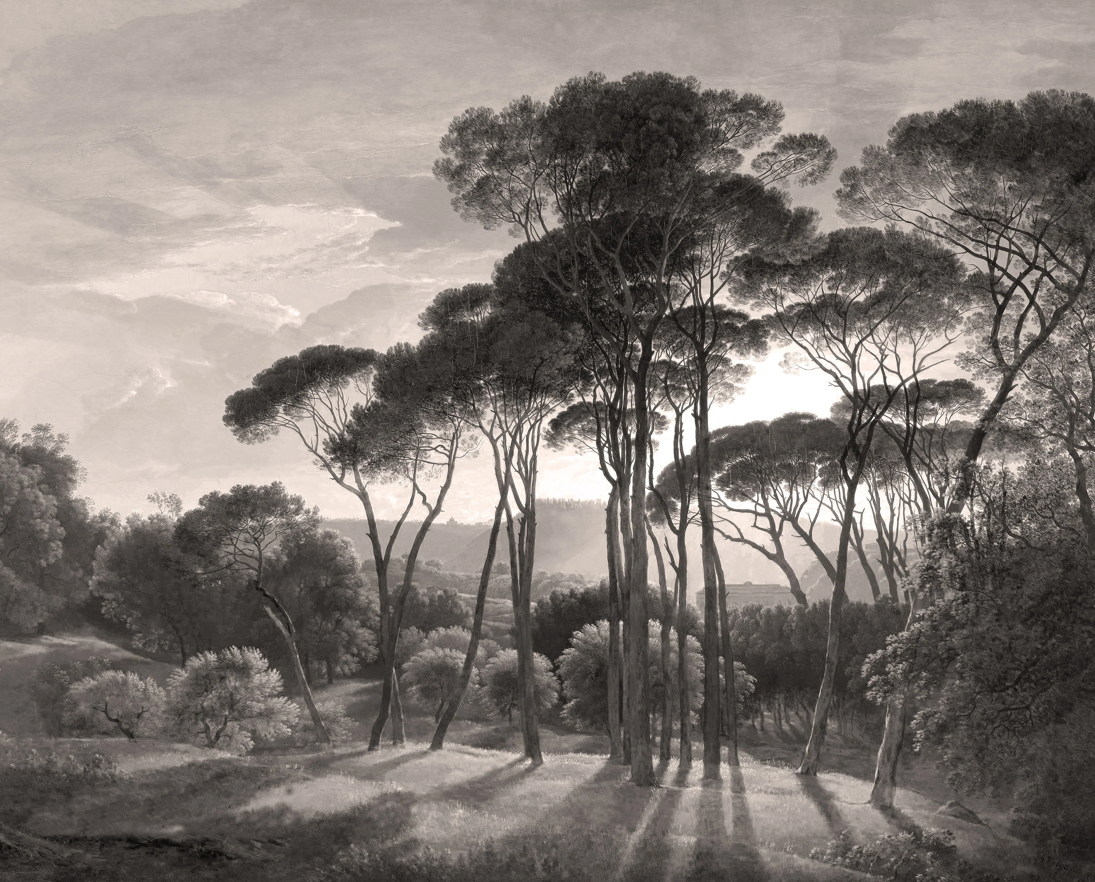 Papier Peint Panoramique Ombrelli - Sépia - Image 8