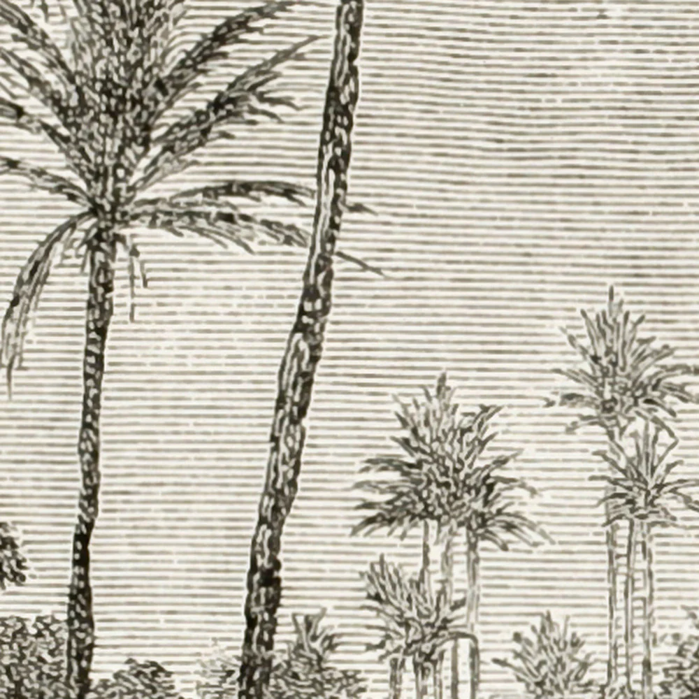 Papier Peint Panoramique Saïd - Noir - Image 3
