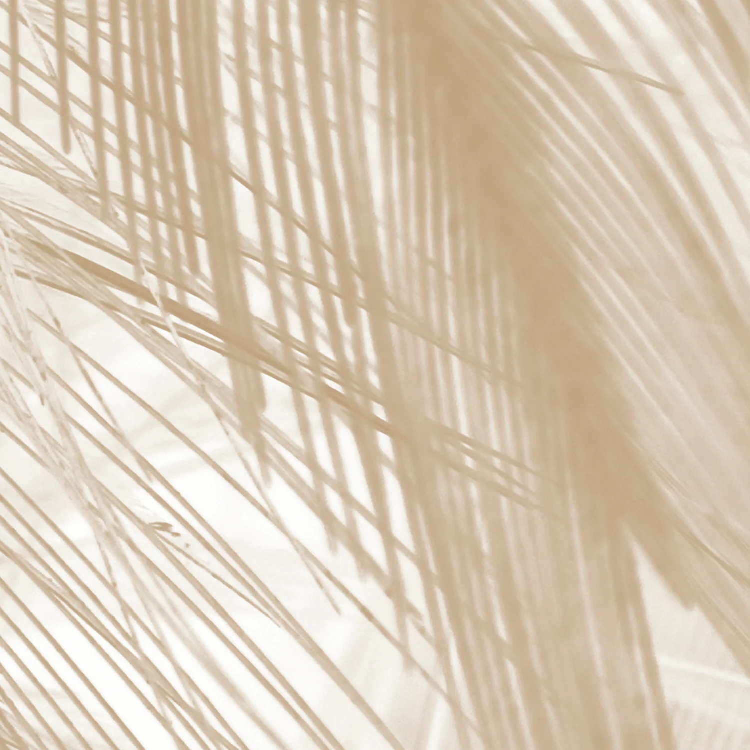 Papier Peint Panoramique Soft - Beige - Image 6