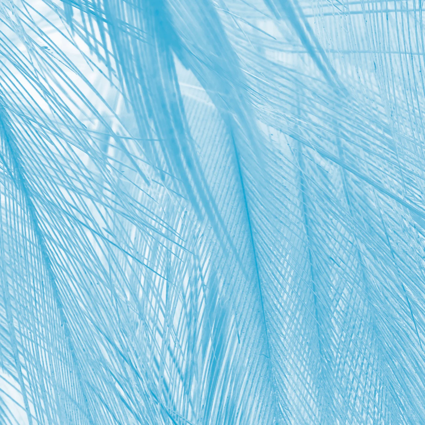 Papier Peint Panoramique Soft - Bleu - Image 3