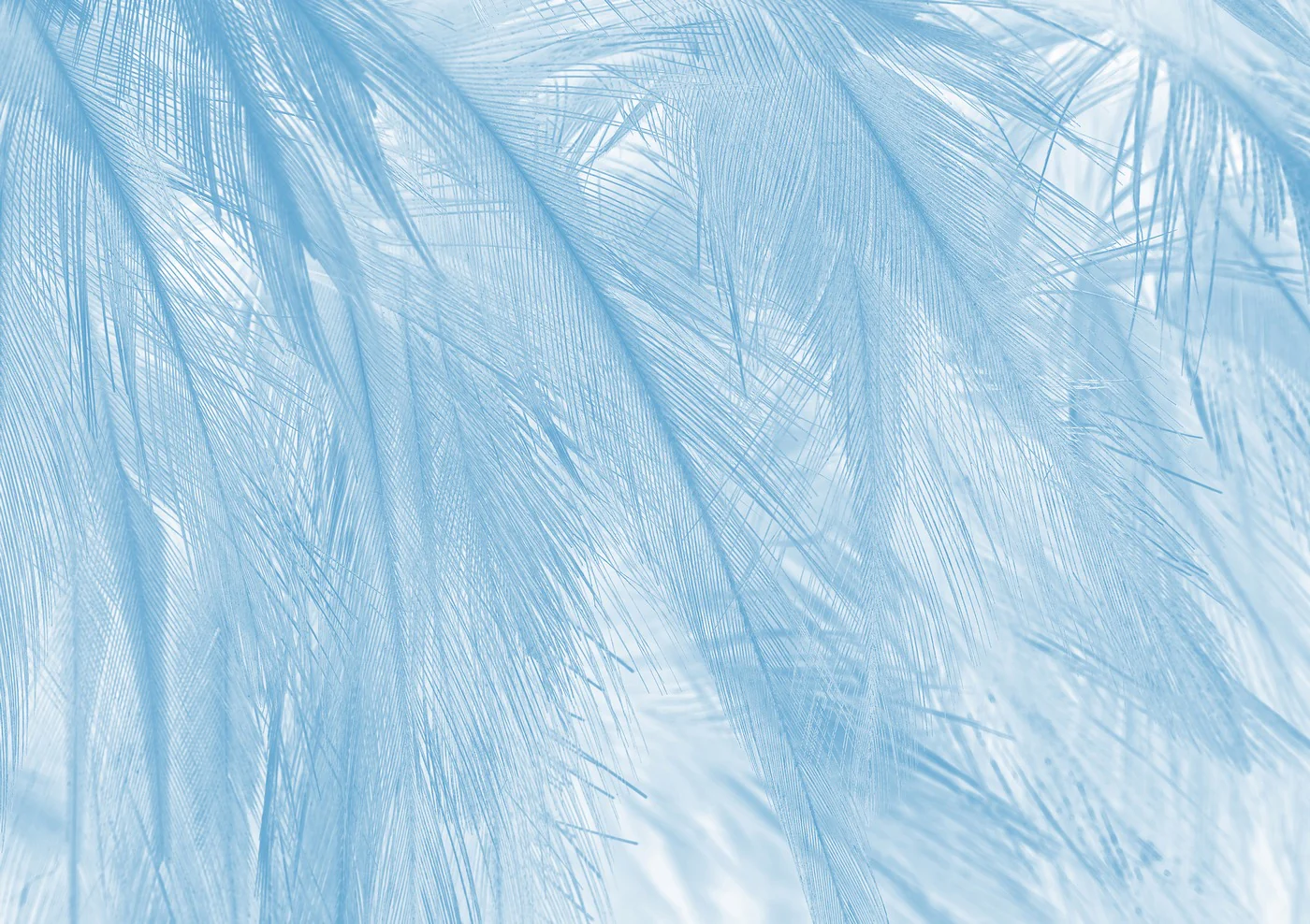 Papier Peint Panoramique Soft - Bleu - Image 5