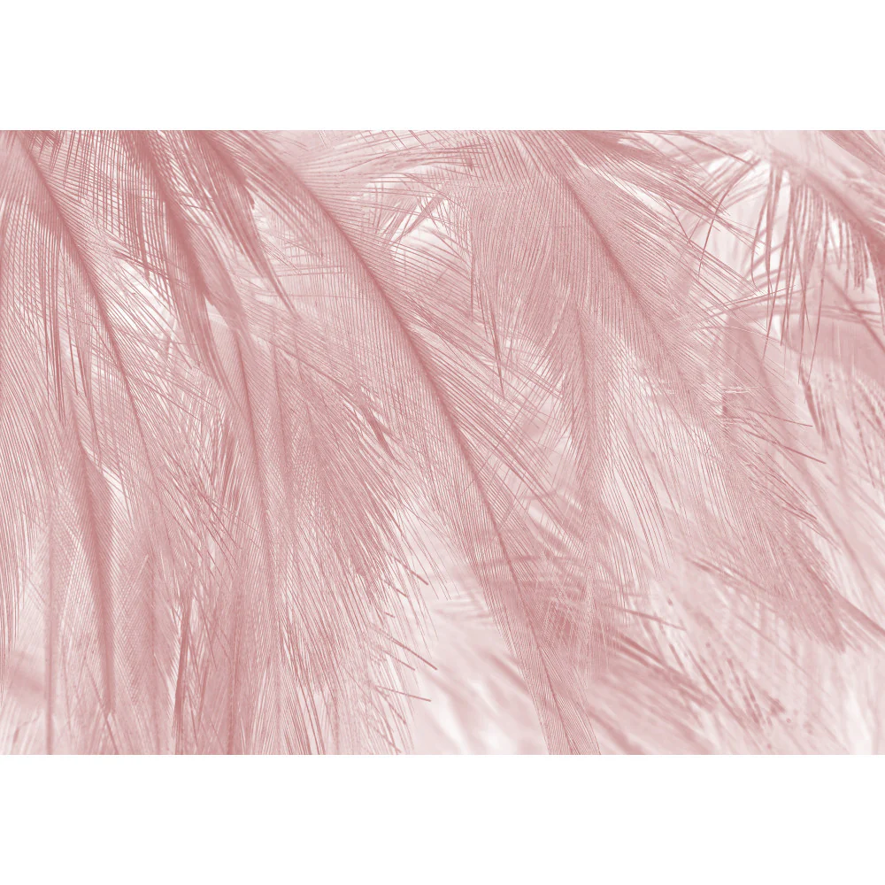 Papier Peint Panoramique Soft - Rose - Image 3