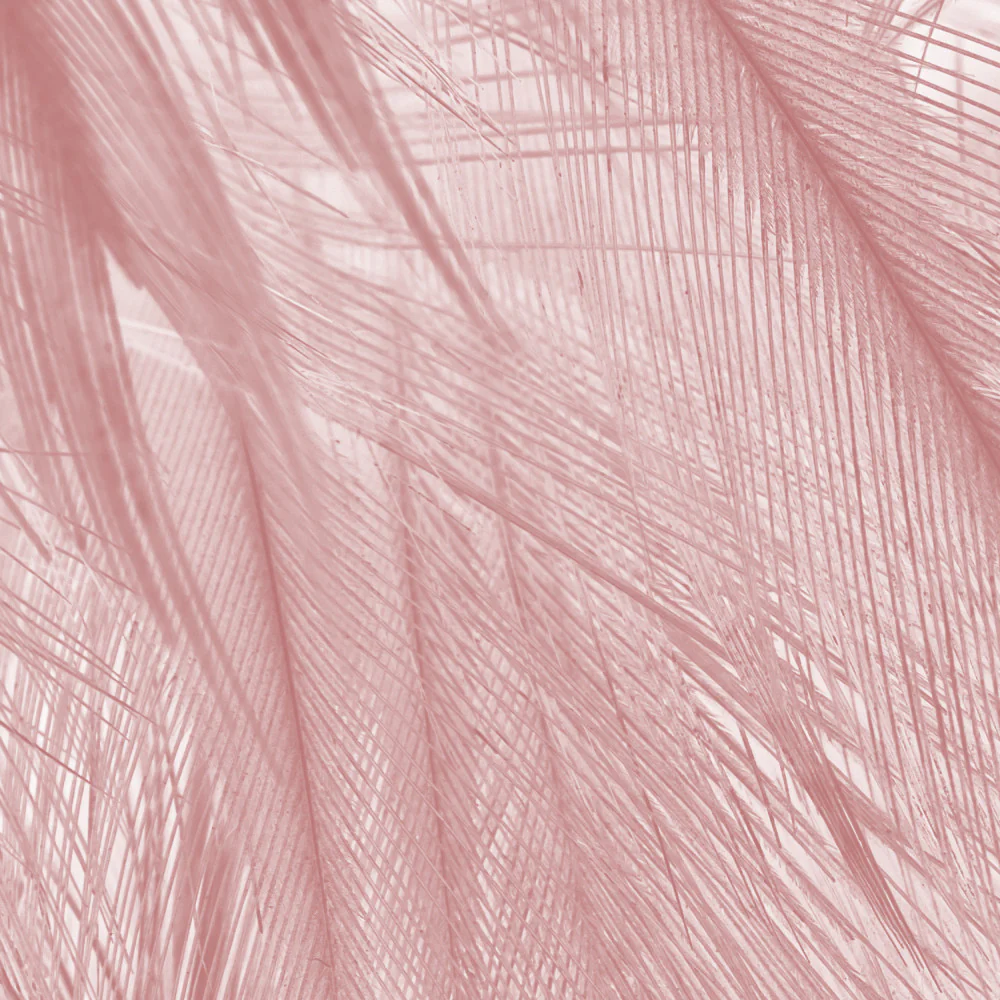 Papier Peint Panoramique Soft - Rose - Image 5