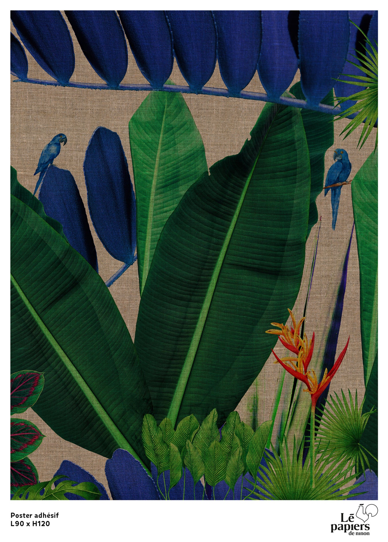 Poster Adhésif Kolibri - Multicolore - Image 2