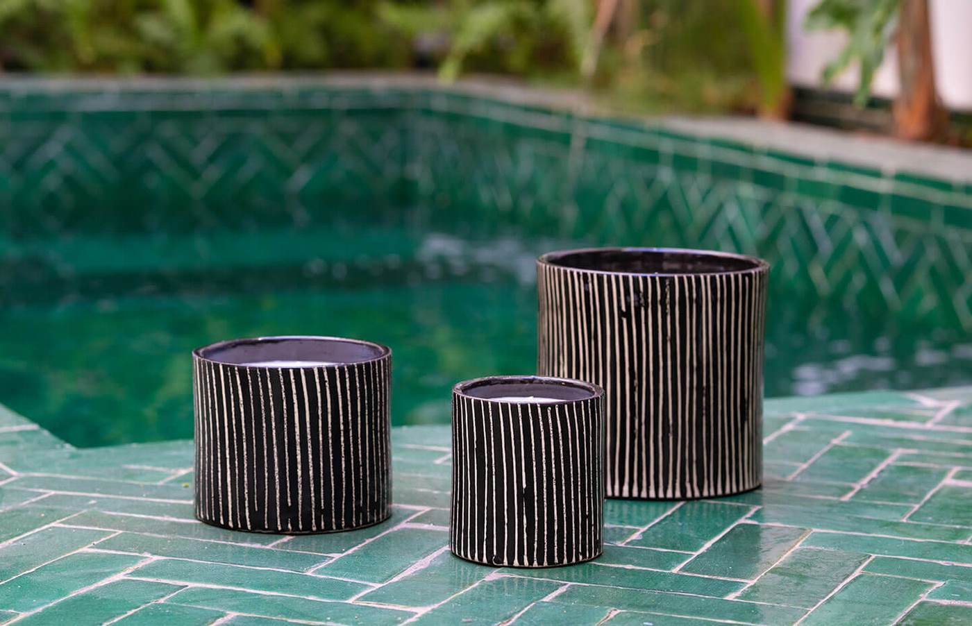 Bougie Zebré - Mandarine Majorelle - Noir Et Blanc - Image 3