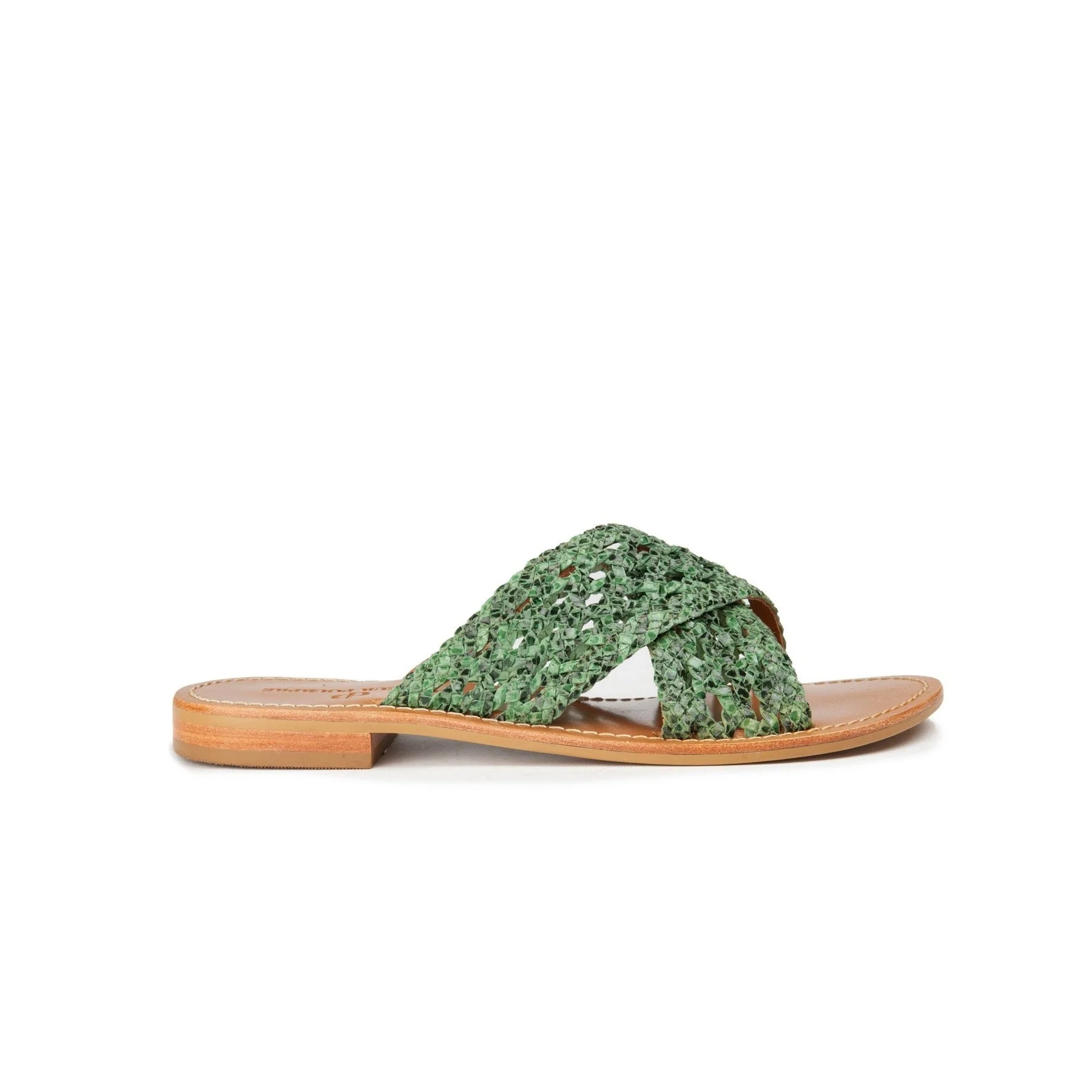 Mules Tanjore - Green Teju - Image 2