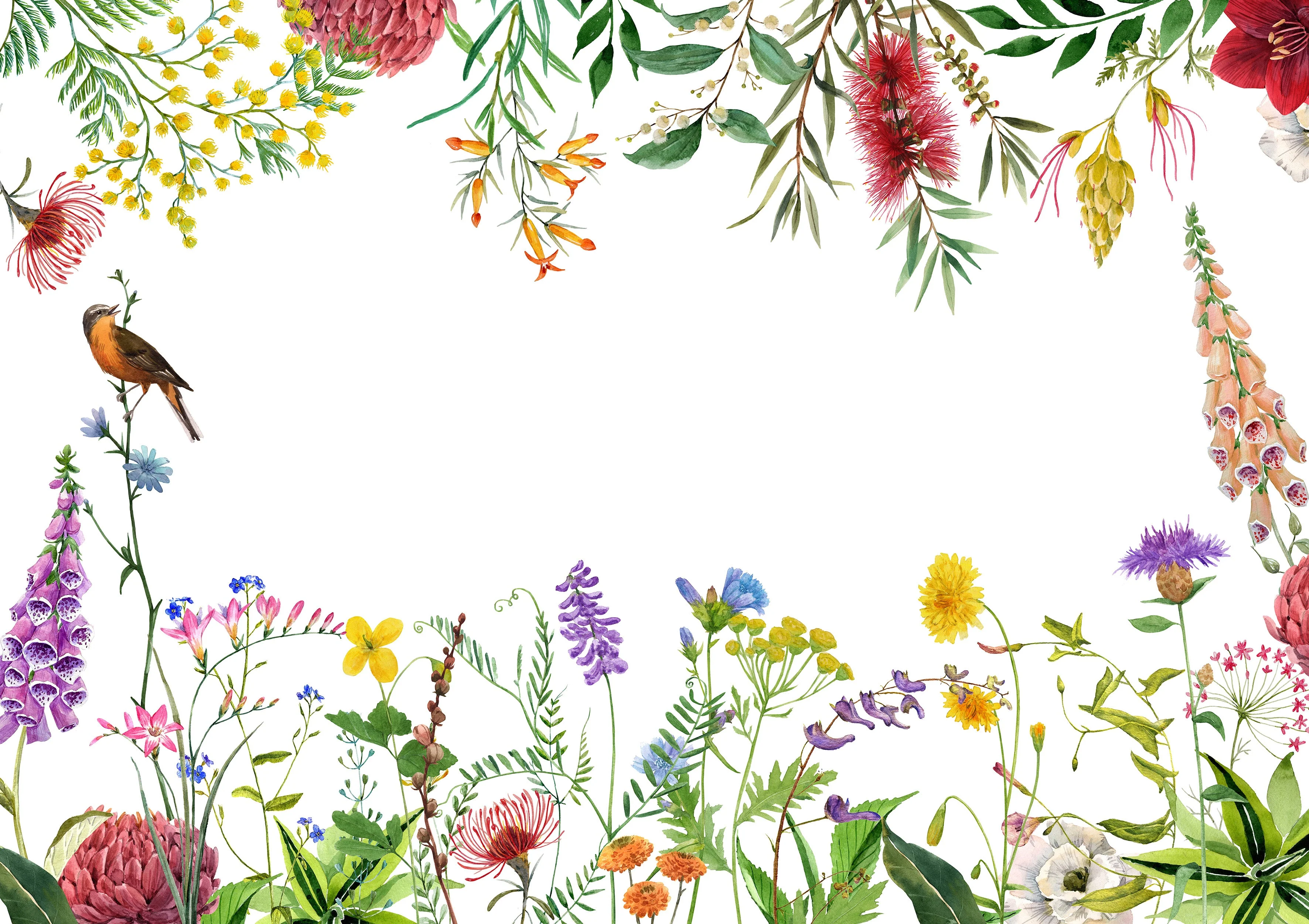 Papier Peint Panoramique - Digitalis L - Multicolore - Image 3