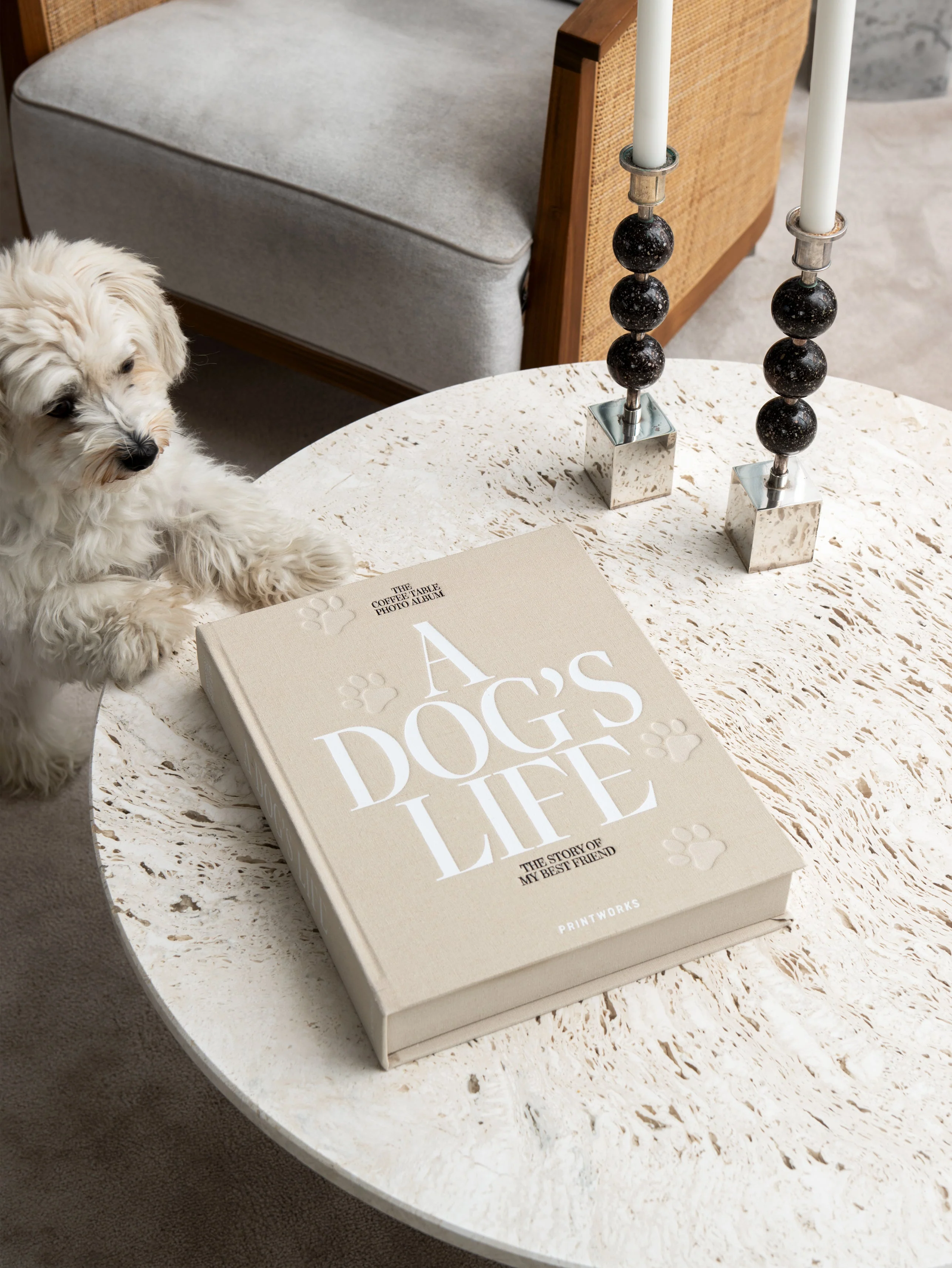 Album Photos Canin - A Dog'S Life - Image 5