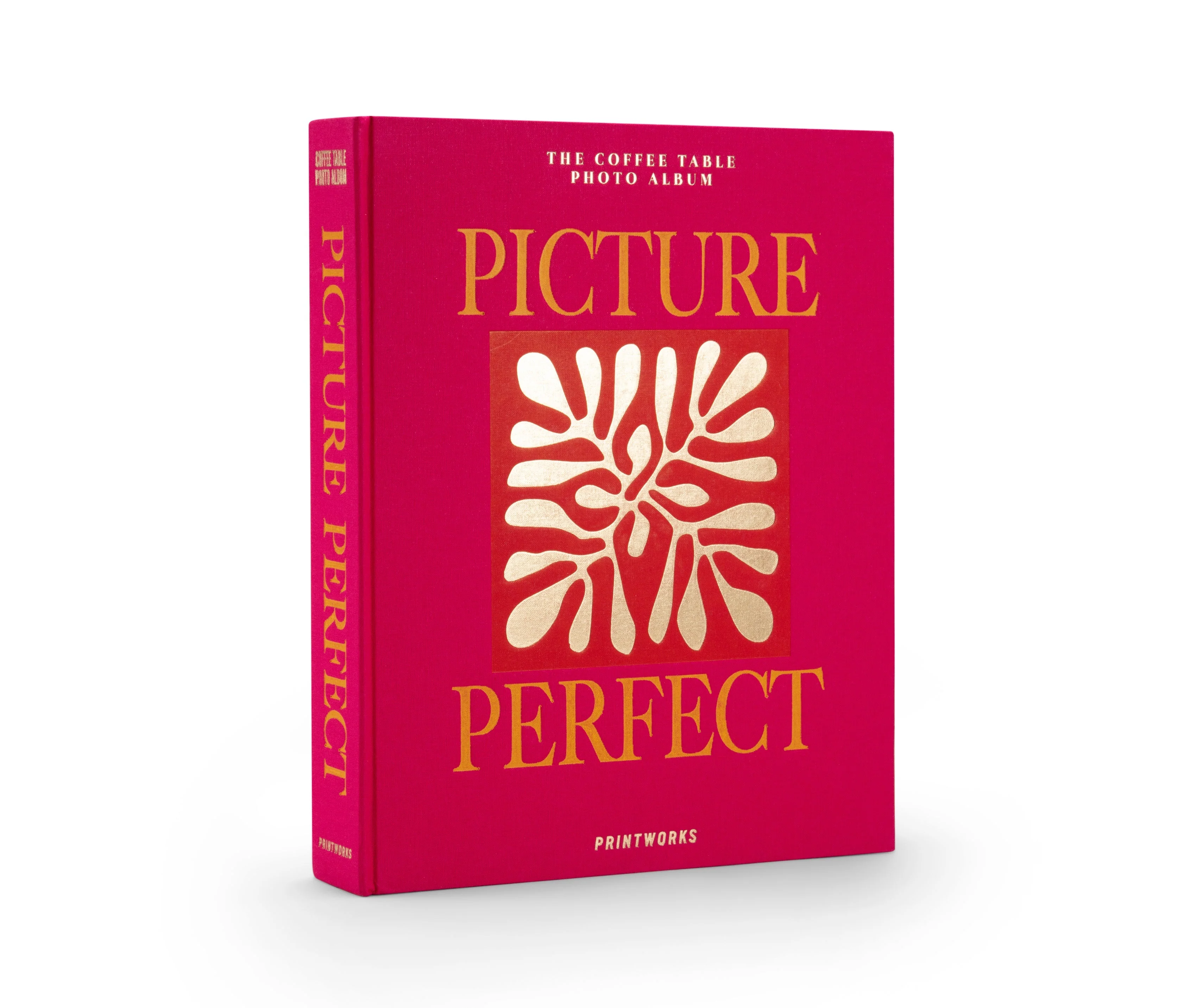 Album Photos - Picture Perfect - Image 2