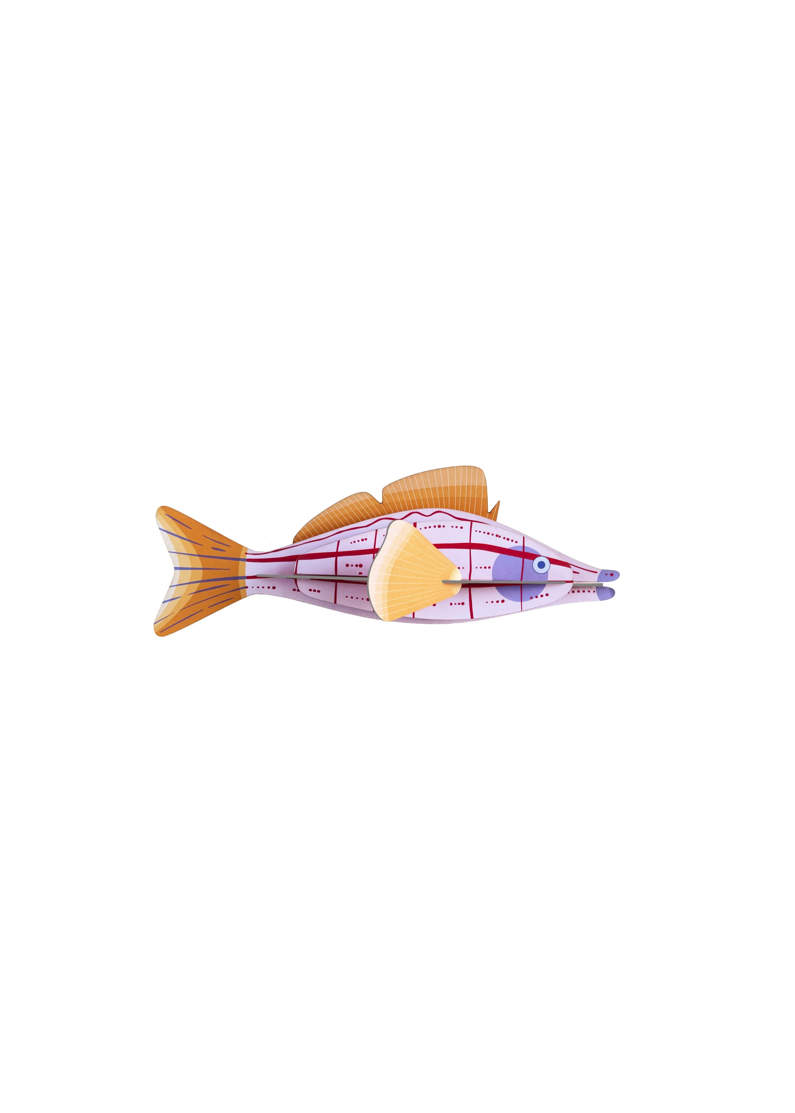 Longnose Hawkfish - Image 4