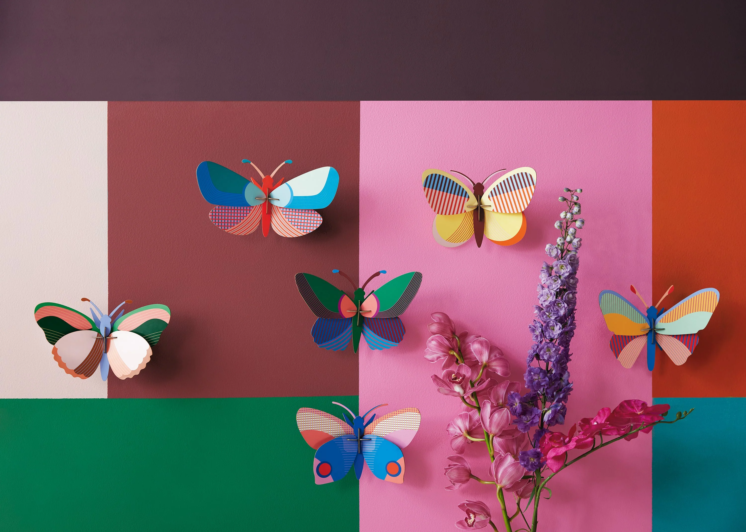 Acacia Butterfly - Image 9