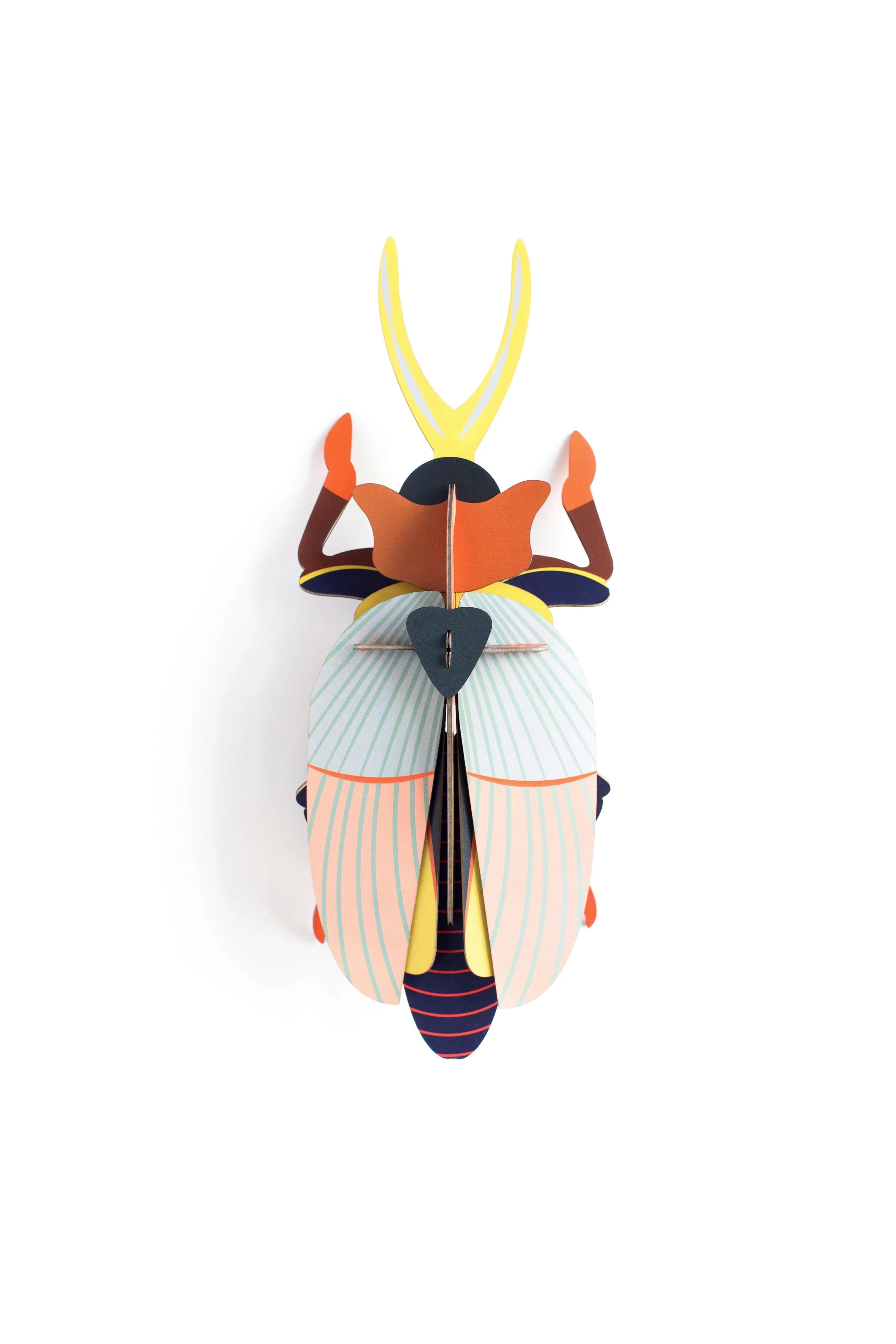 Rhinoceros Beetle - Image 4