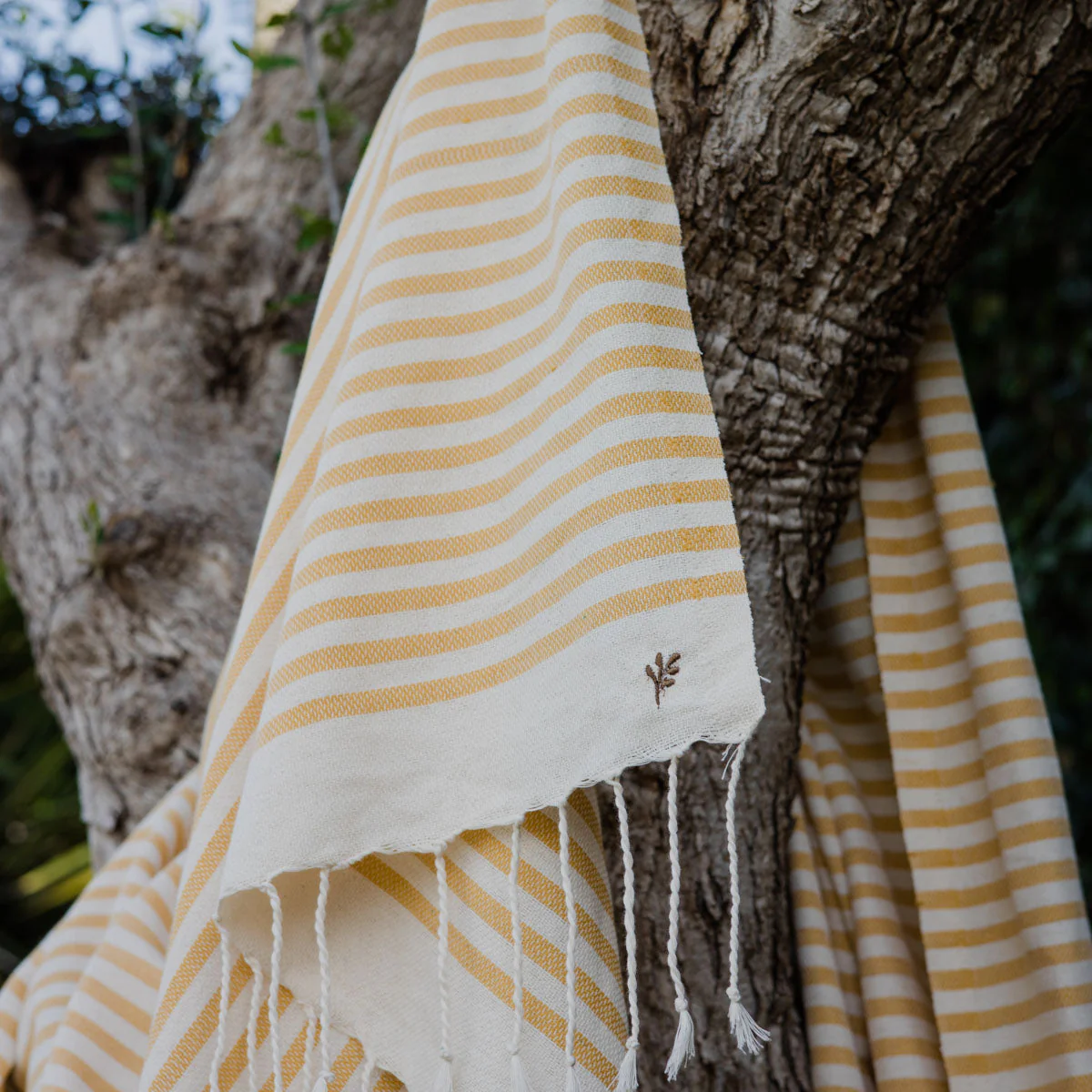 Lot De 2 Foutas - Coton - Jaune Moutarde - Hossegor - Image 14