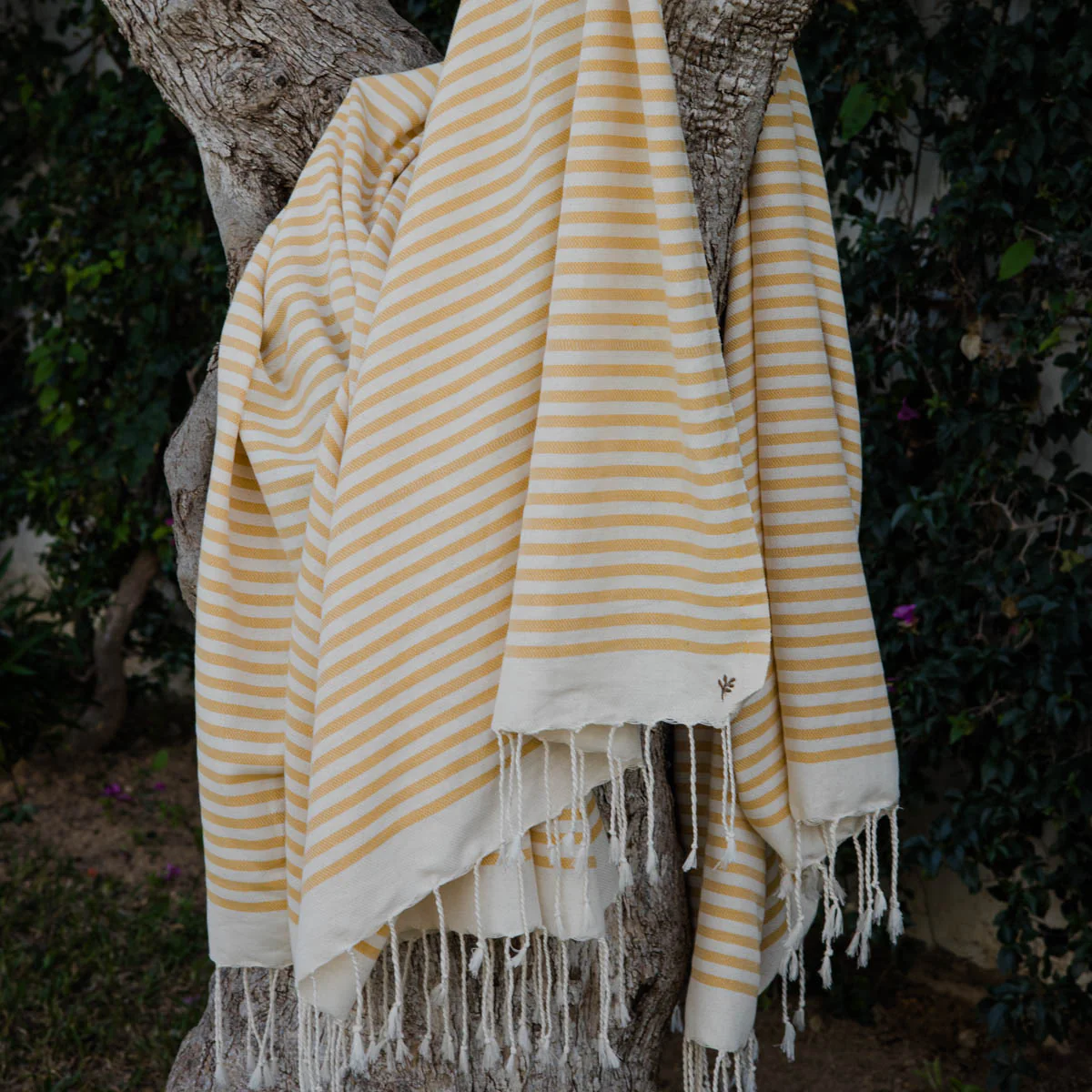 Lot De 2 Foutas XXL - Coton - Jaune Moutarde - Hossegor - Image 9