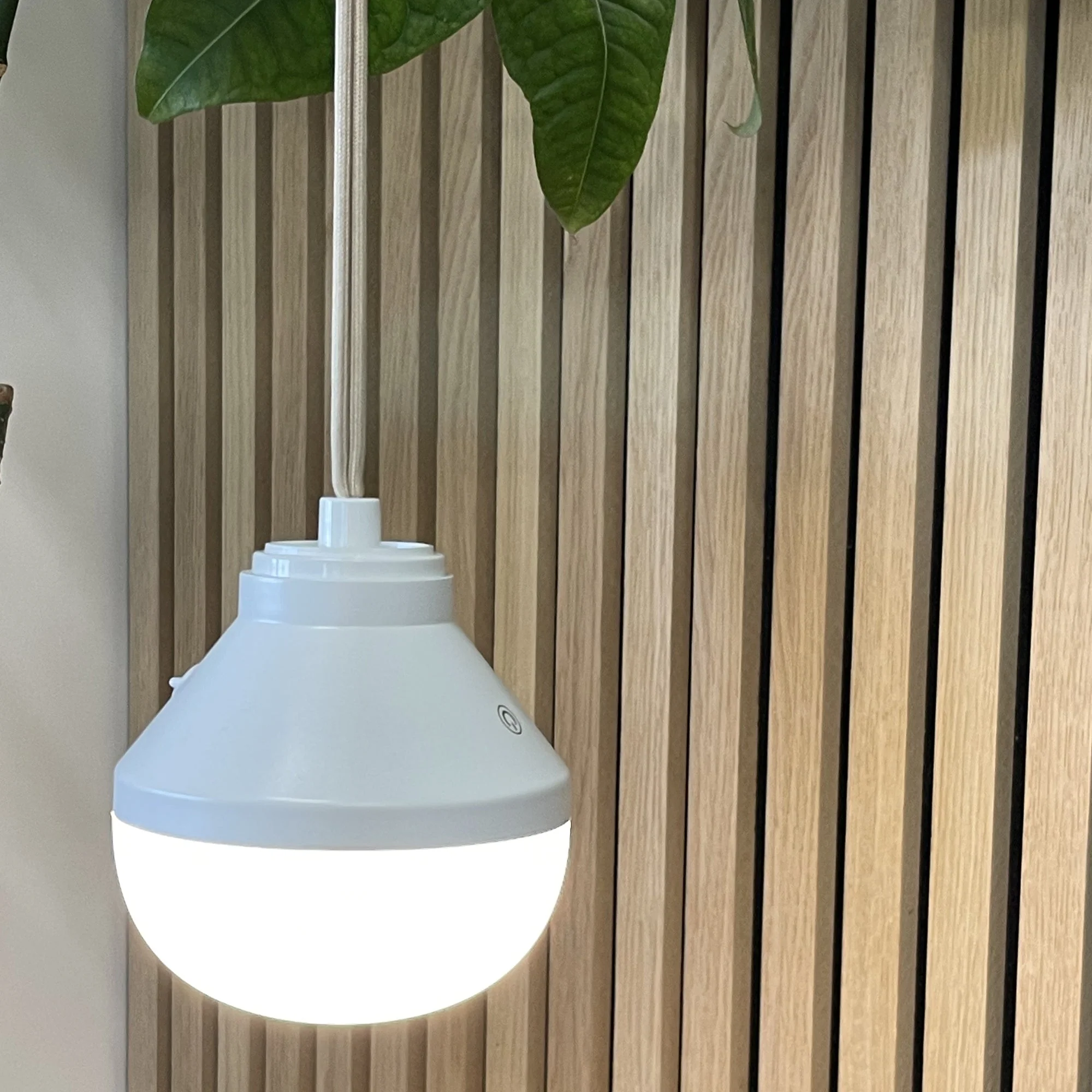 Module Led - Lys - Image 4