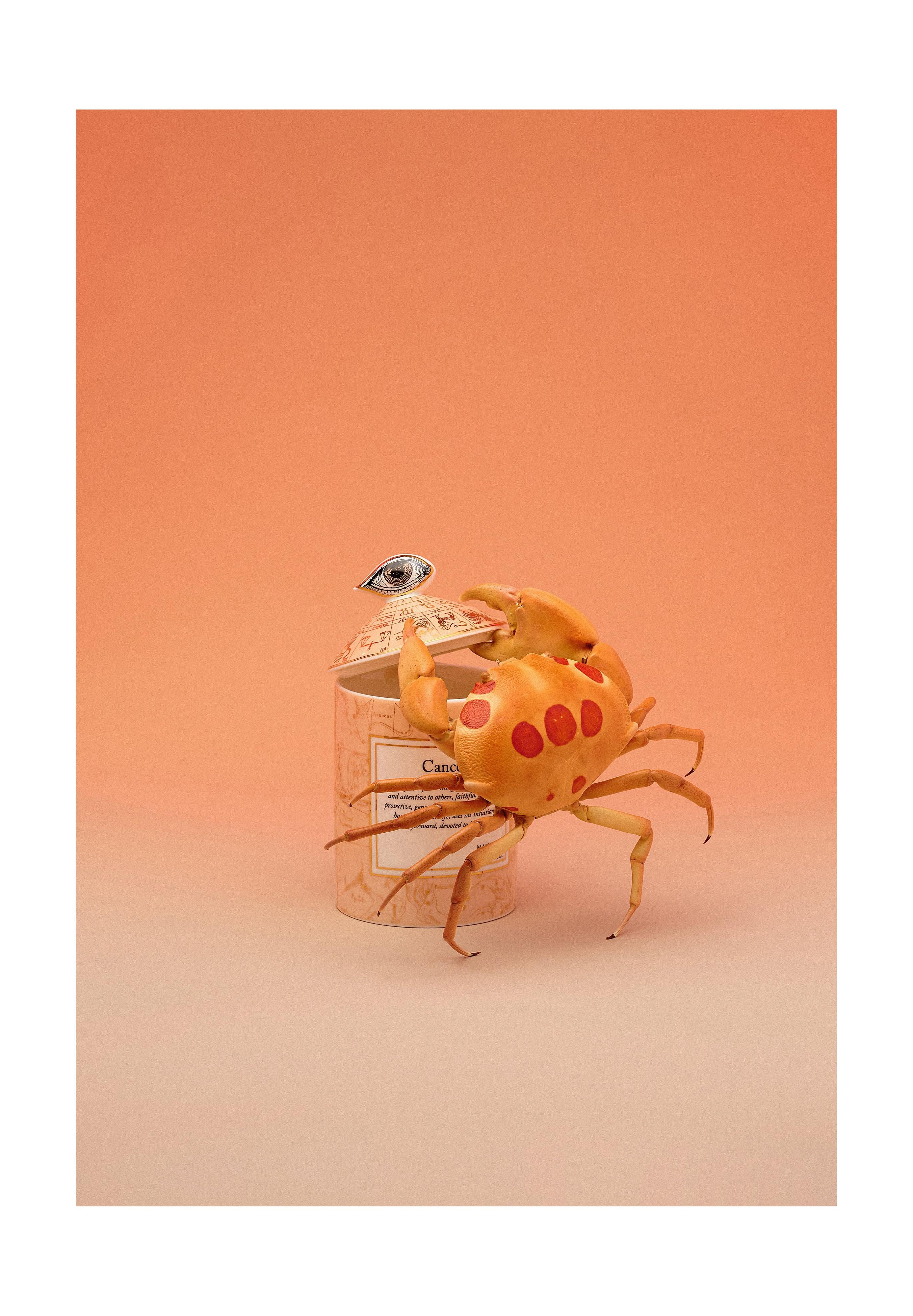 Bougie - Cancer - Bergamote & Vétiver - Image 6