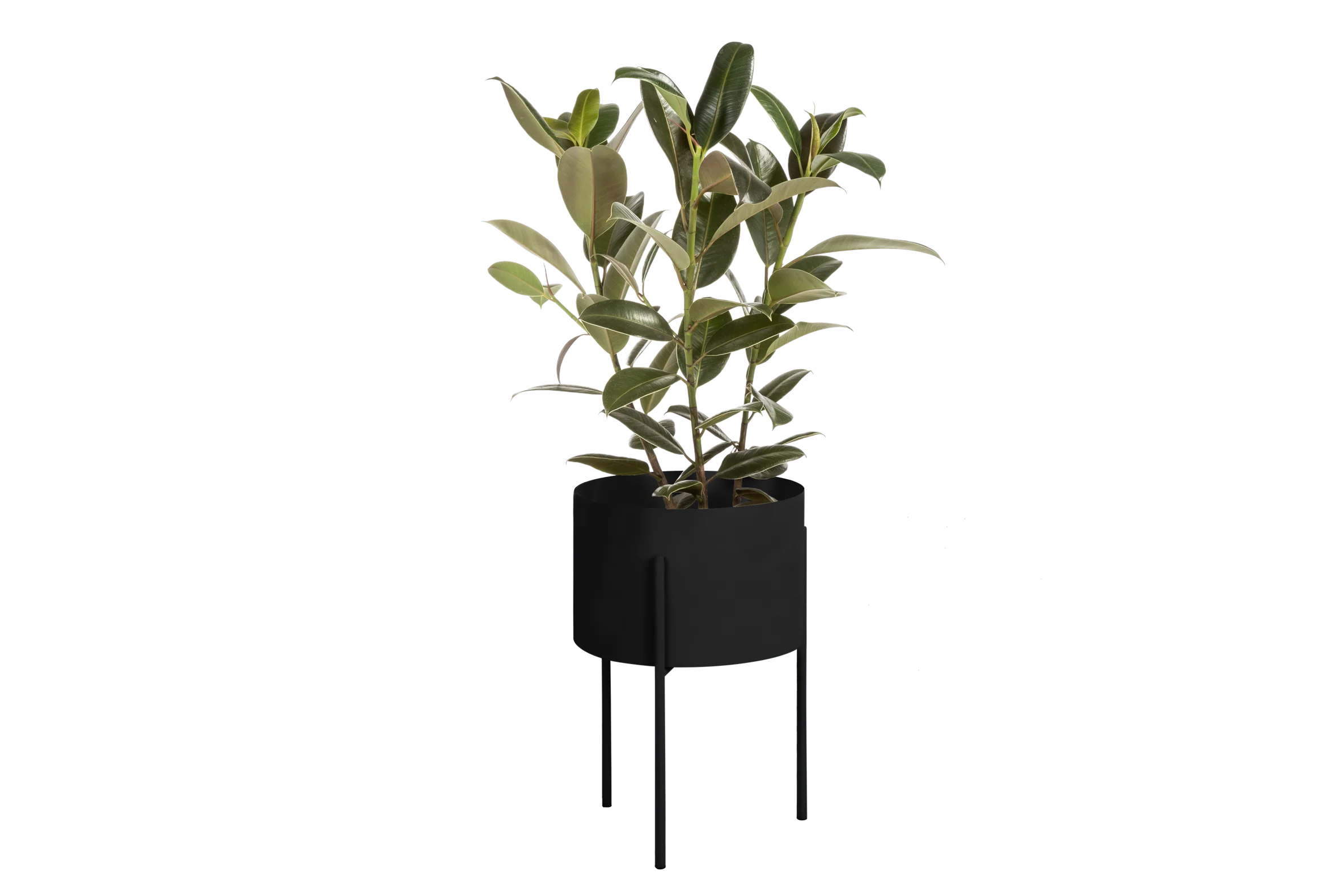 Pot De Fleurs Maki – Large - Vulcano Black - Image 4