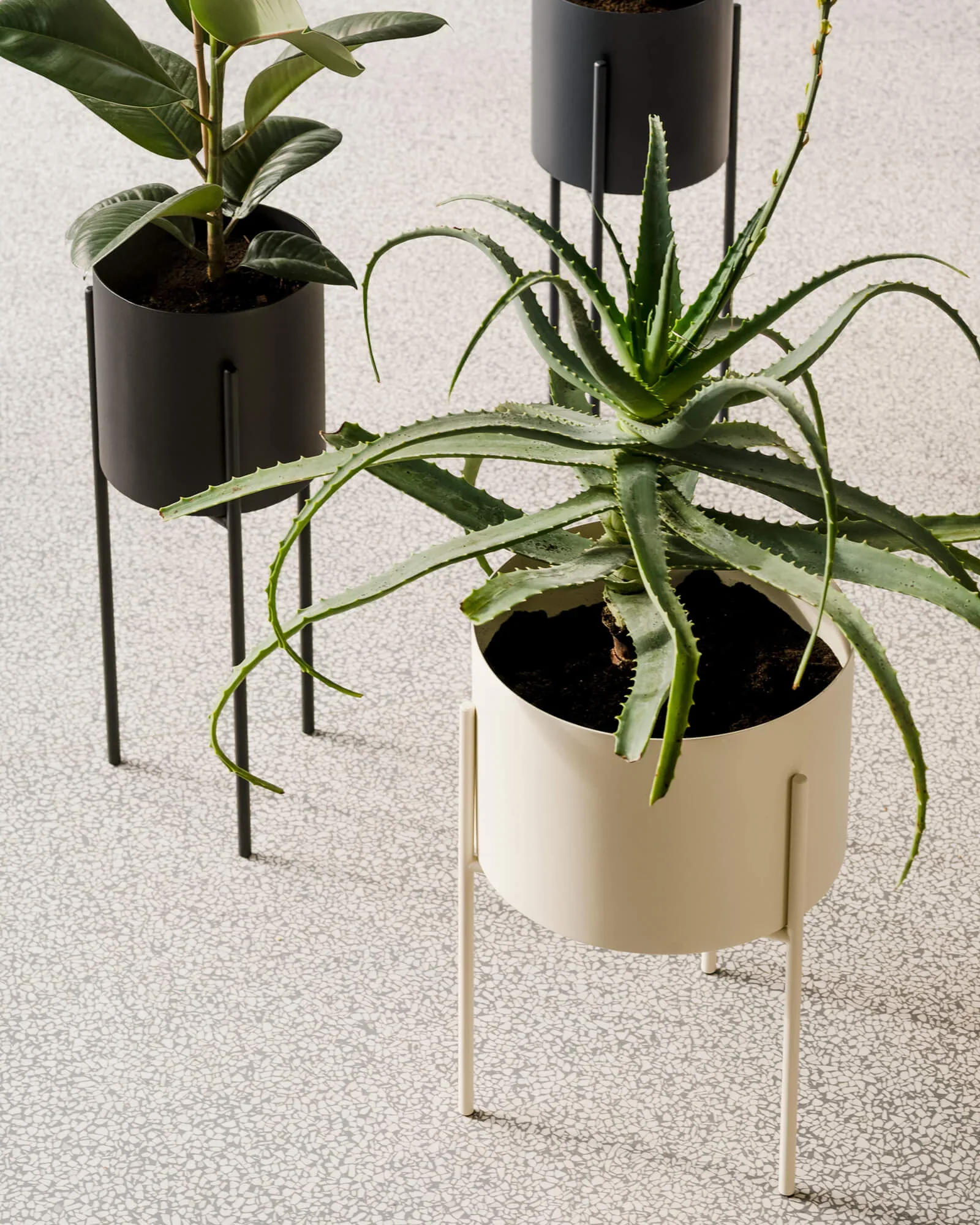Pot De Fleurs Maki – Large - Piazza Beige - Image 2