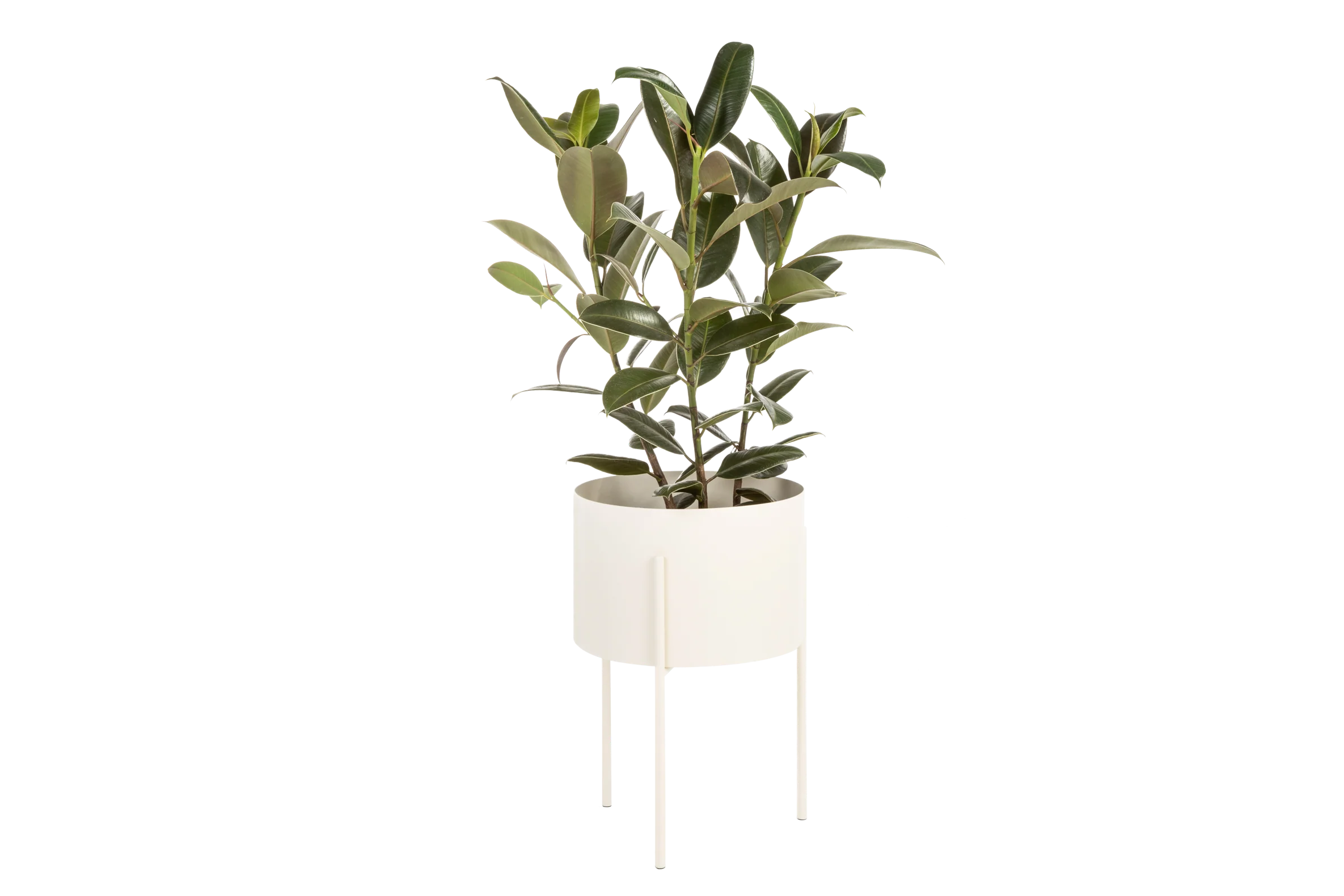 Pot De Fleurs Maki – Large - Piazza Beige - Image 3