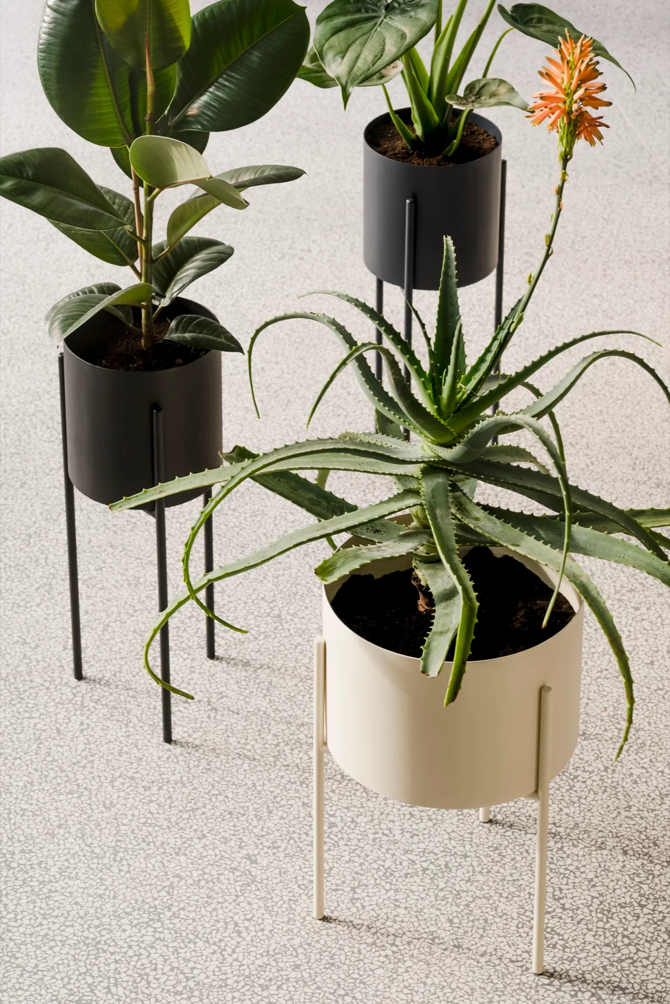 Pot De Fleurs Maki – Grand - Vulcano Black - Image 3