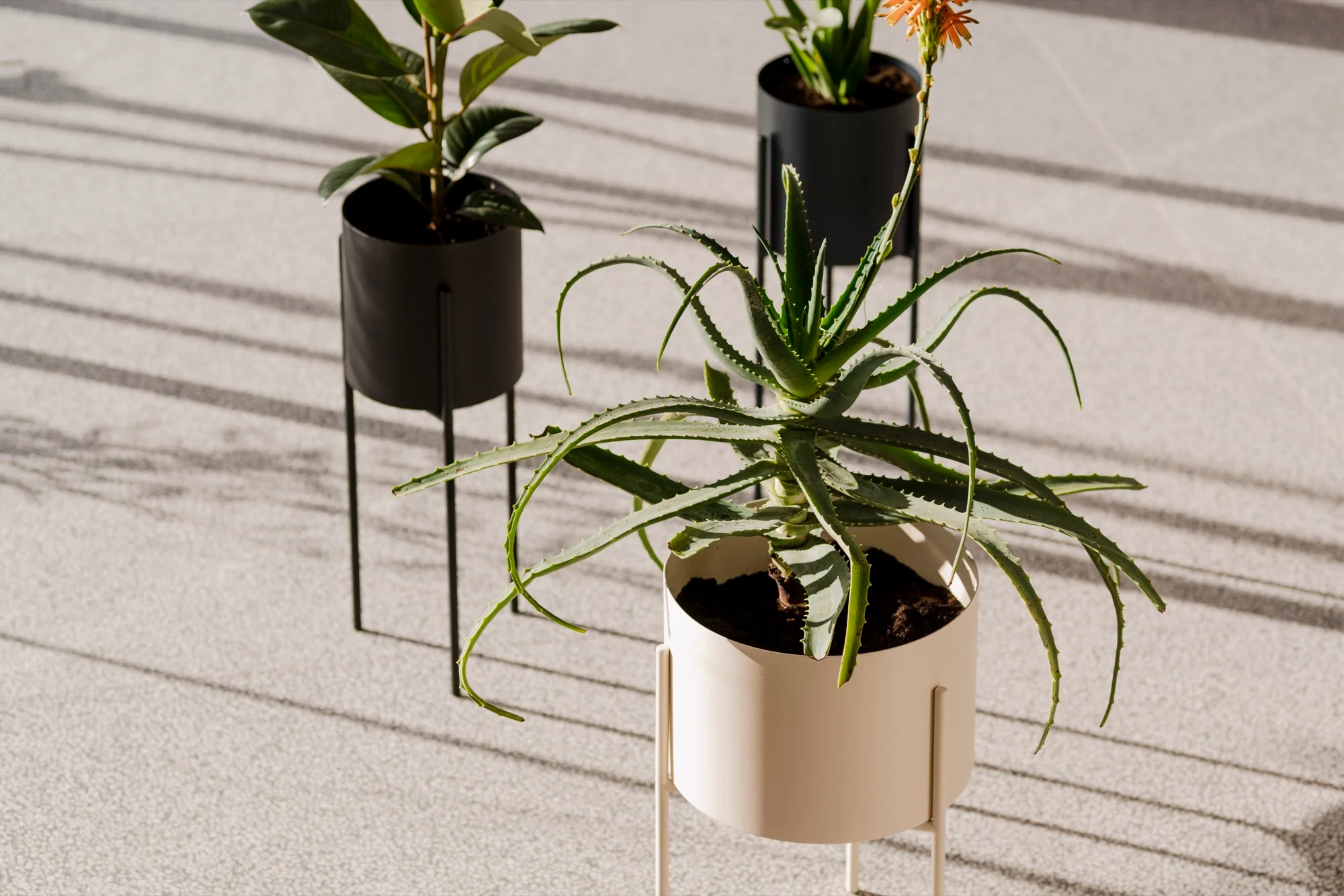 Pot De Fleurs Maki – Grand - Vulcano Black - Image 5