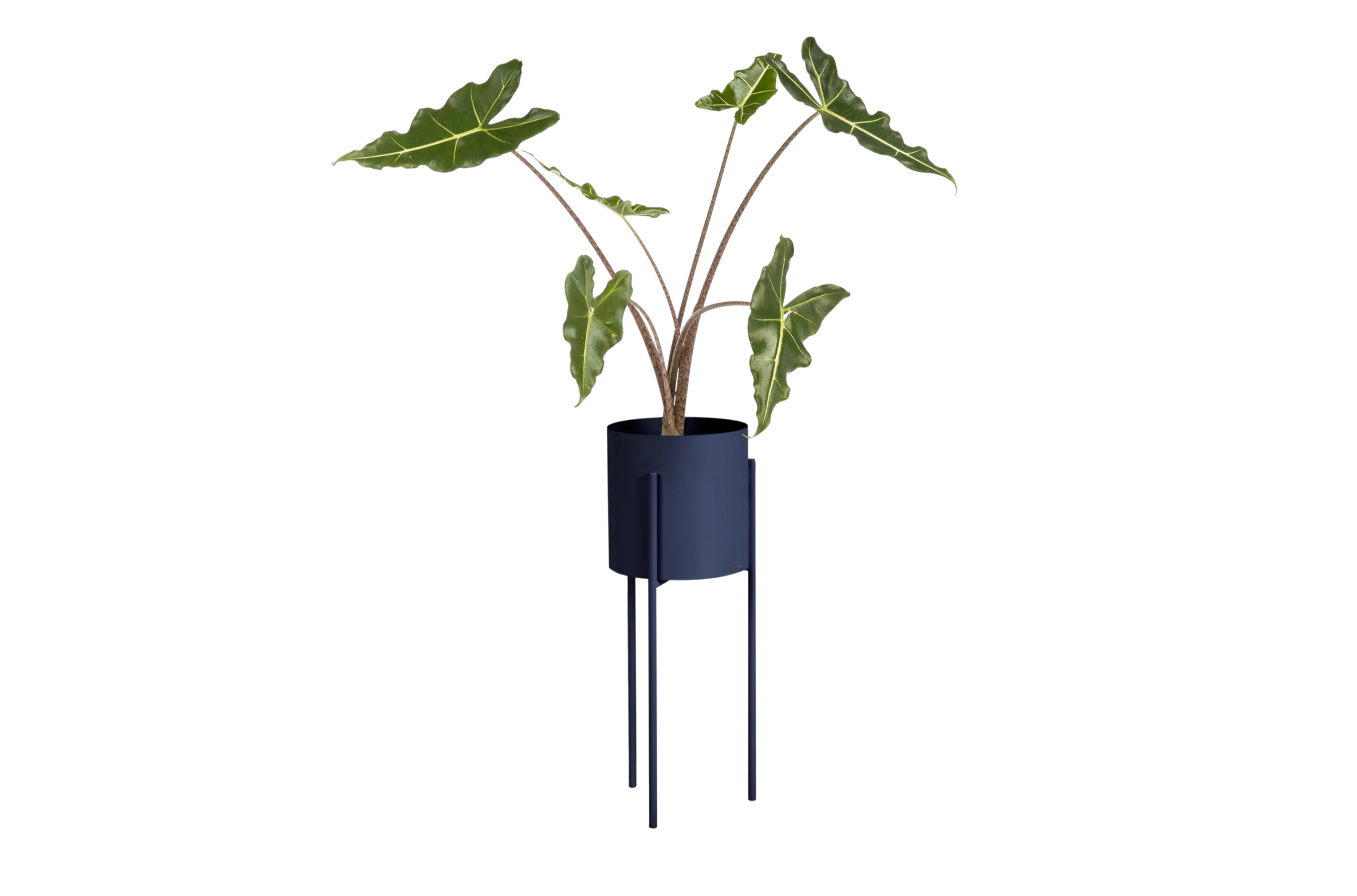Pot De Fleurs Maki – Grand - Storm Blue - Image 3