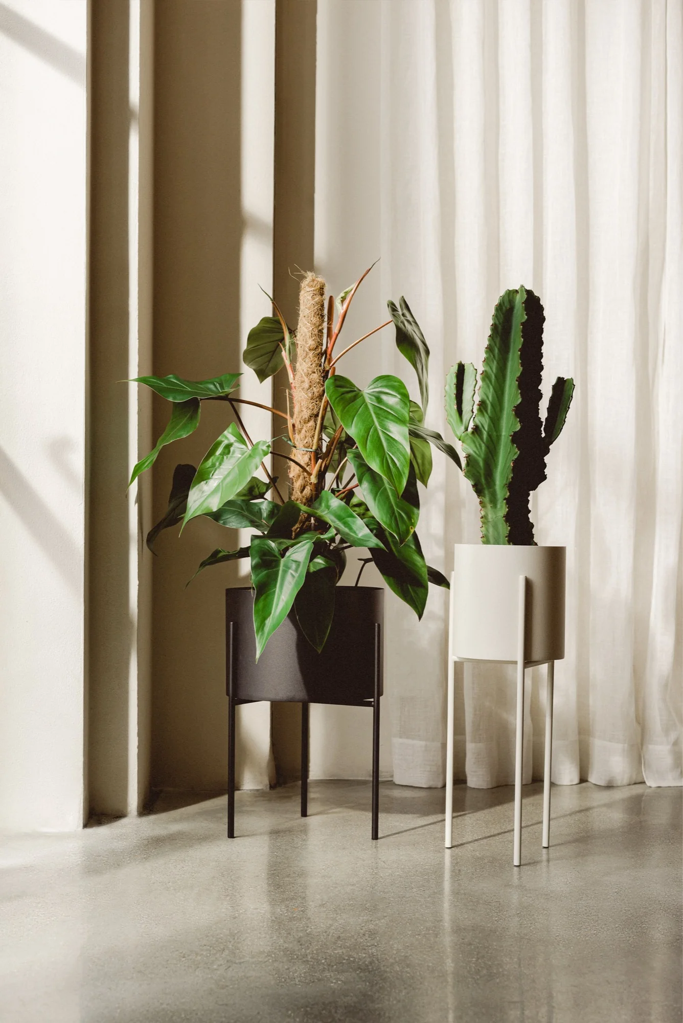 Pot De Fleurs Maki – Grand - Piazza Beige - Image 6