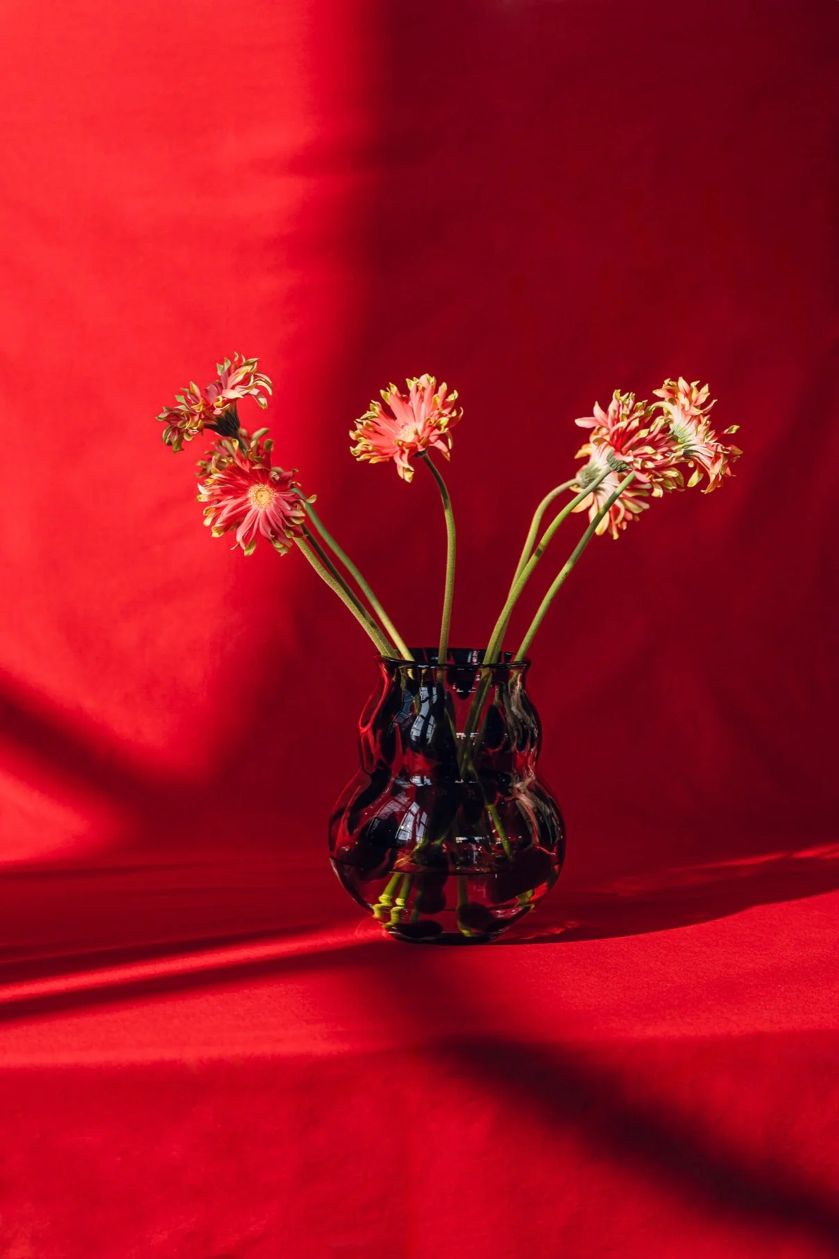 Vase Dam - Black Spots - Image 2