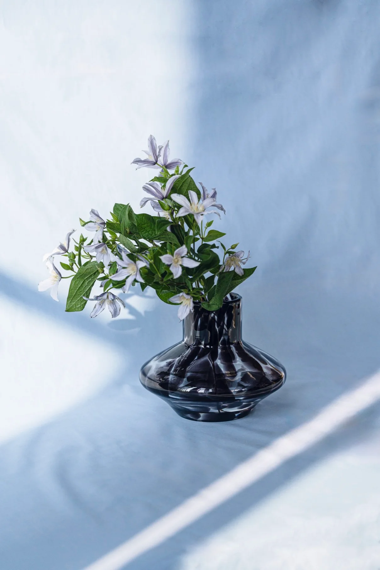 Vase Glom - Black Spots - Image 3