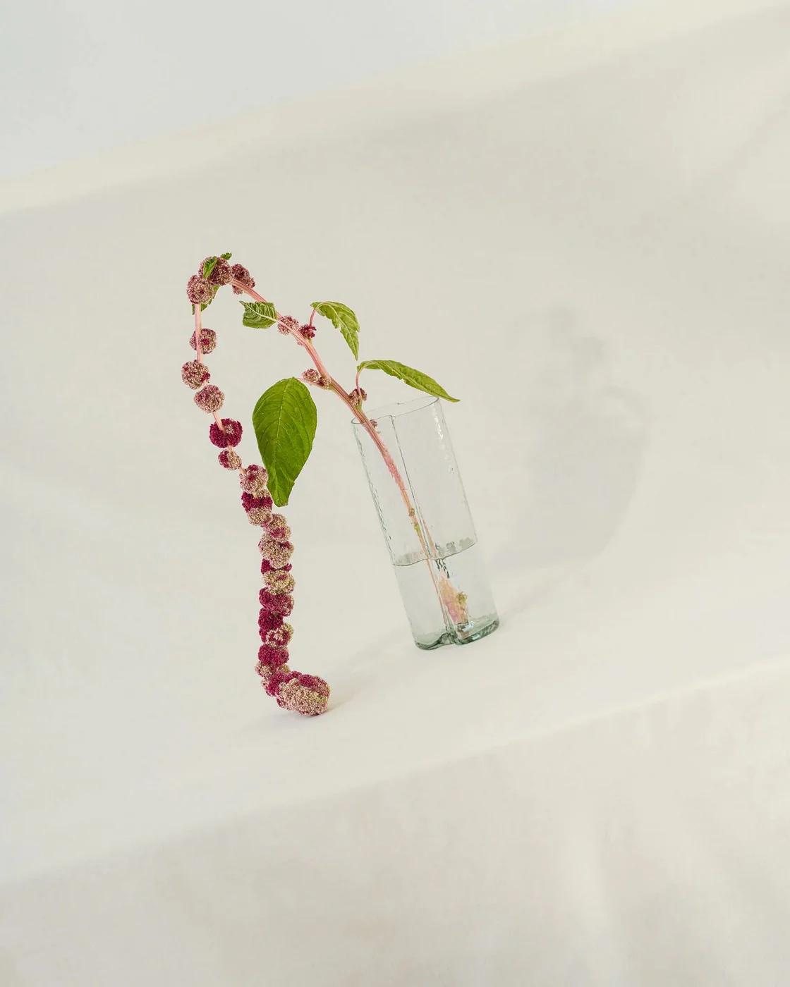 Vase Tubu - Transparent Glass - Image 4