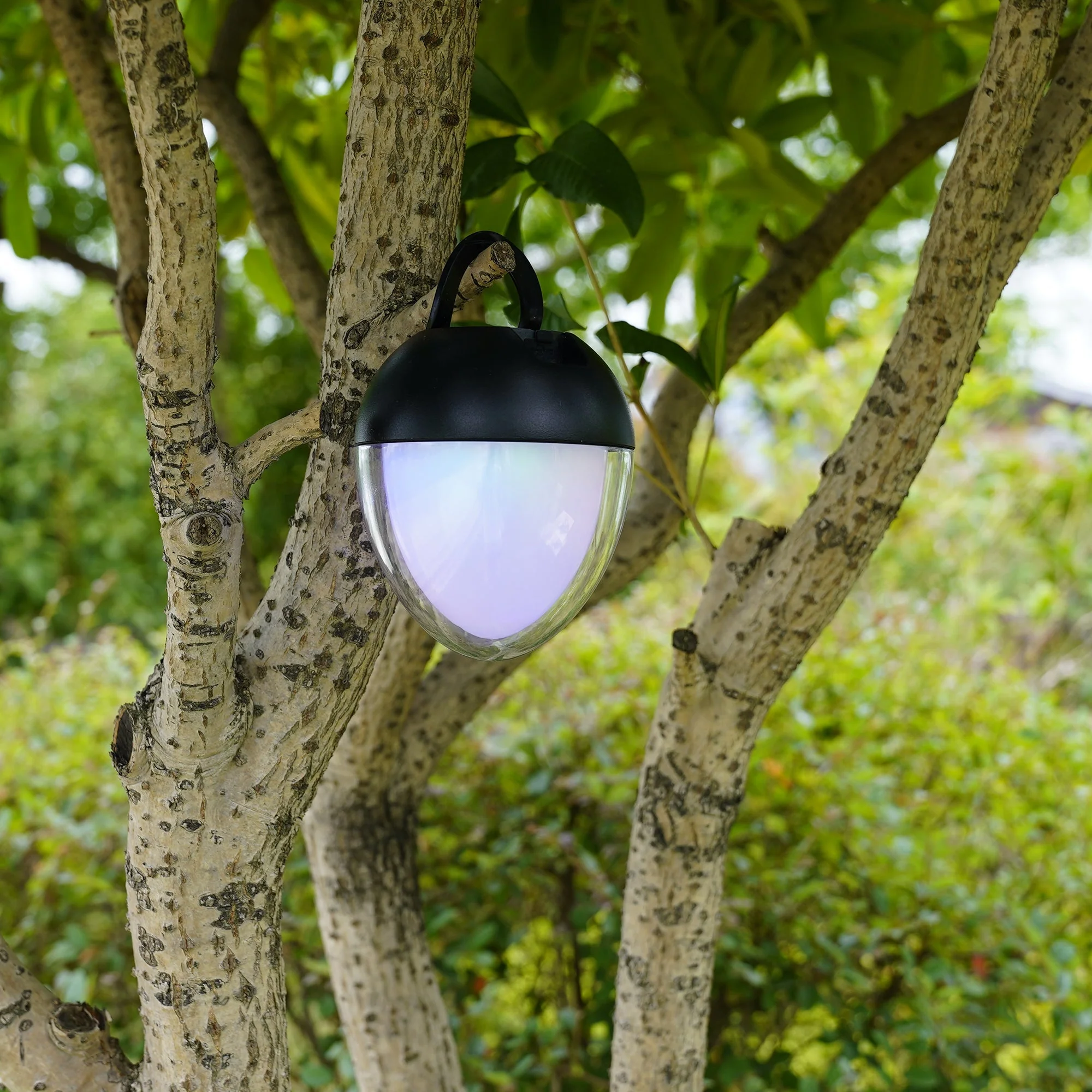 Lampe De Table Sans Fil - Ovie - Image 8