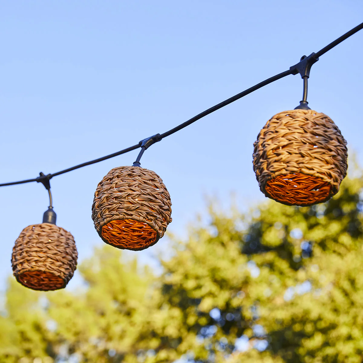 Guirlande Filaire E27 - Pine Light