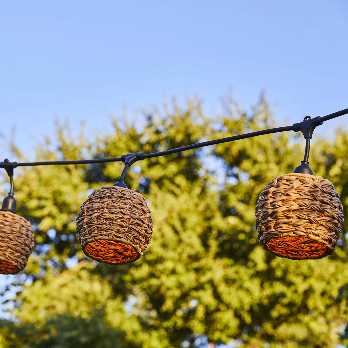 Guirlande Filaire E27 - Pine Light - Image 2