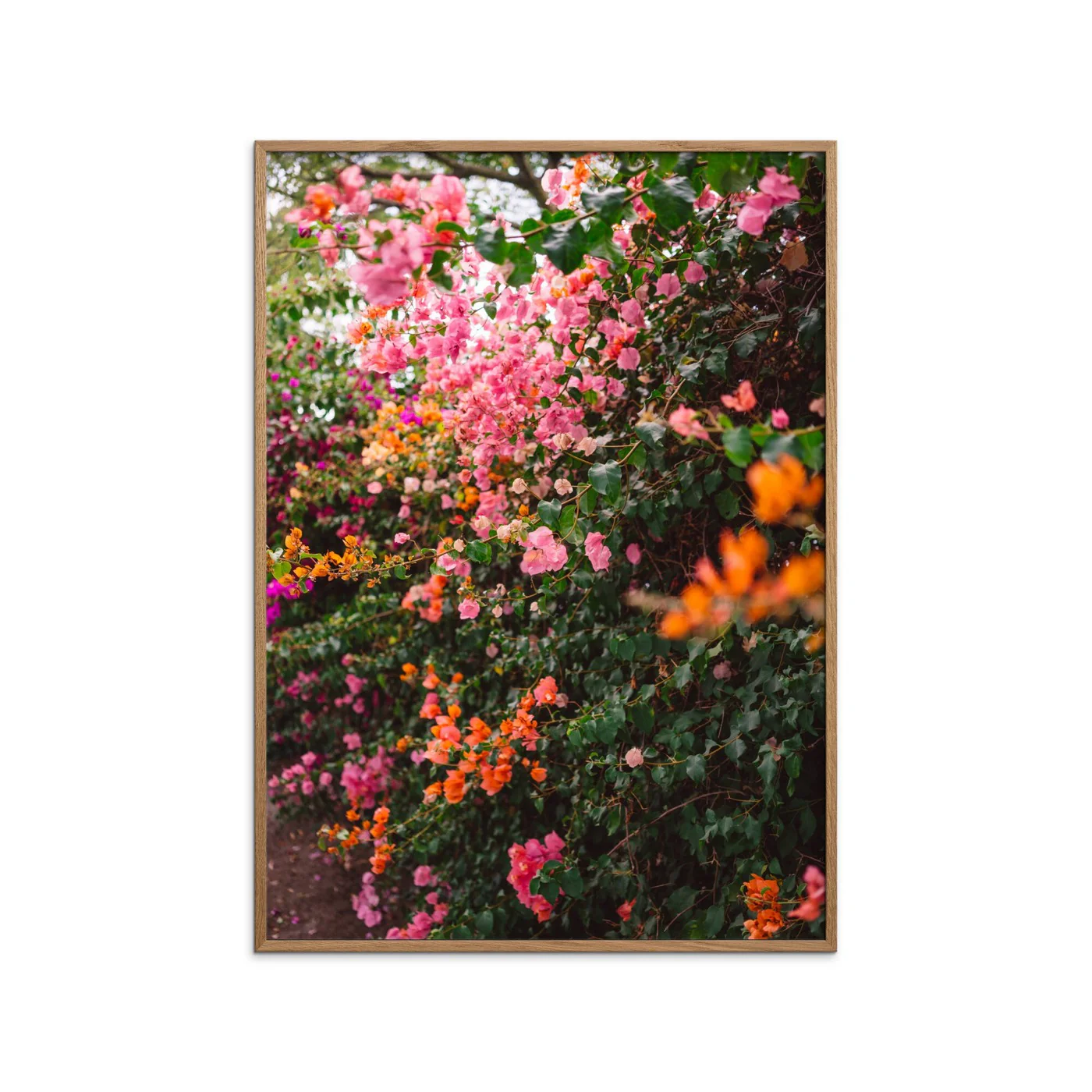 Bethany Young - La Garden - Image 2