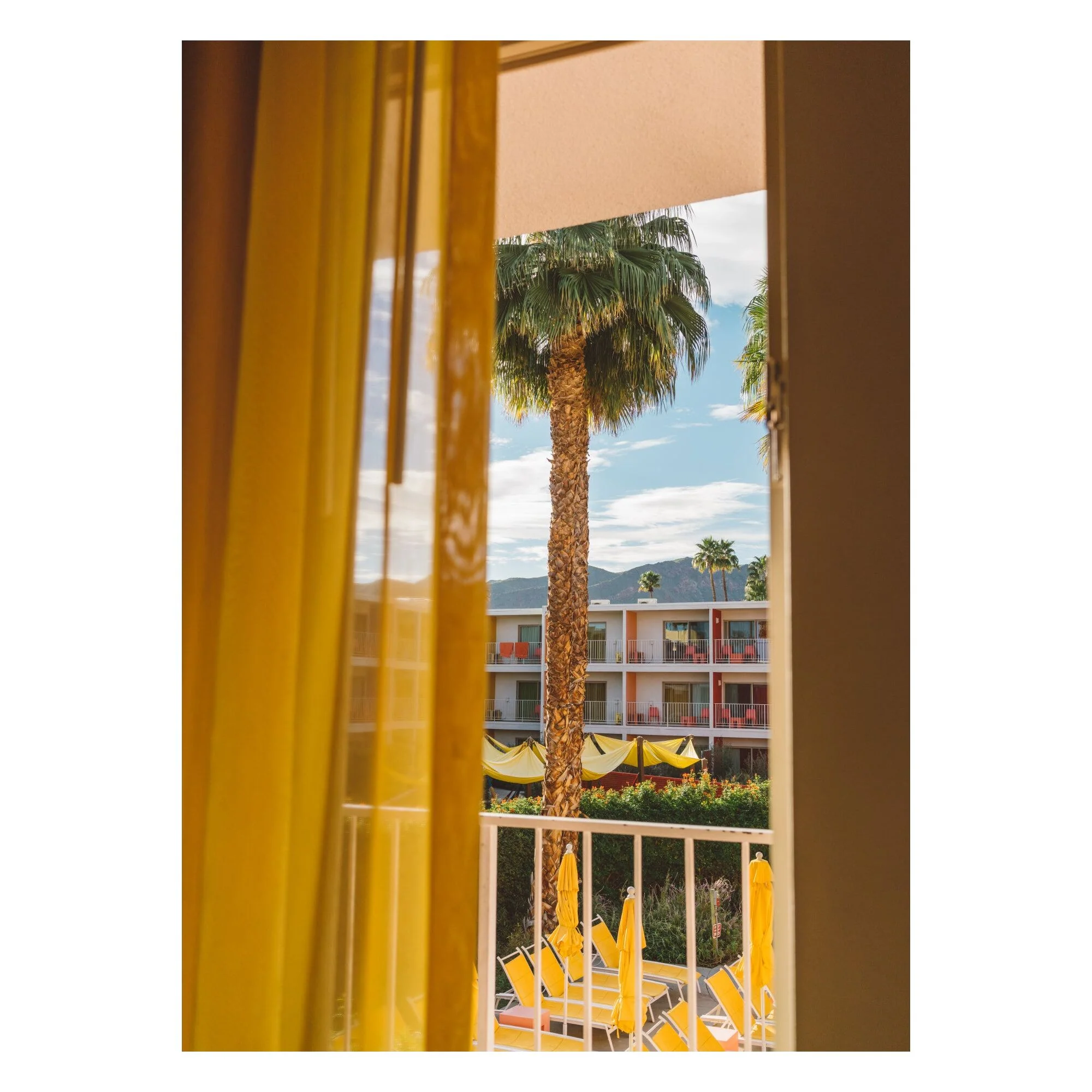 Bethany Young - Palm Springs Dreams - Image 3